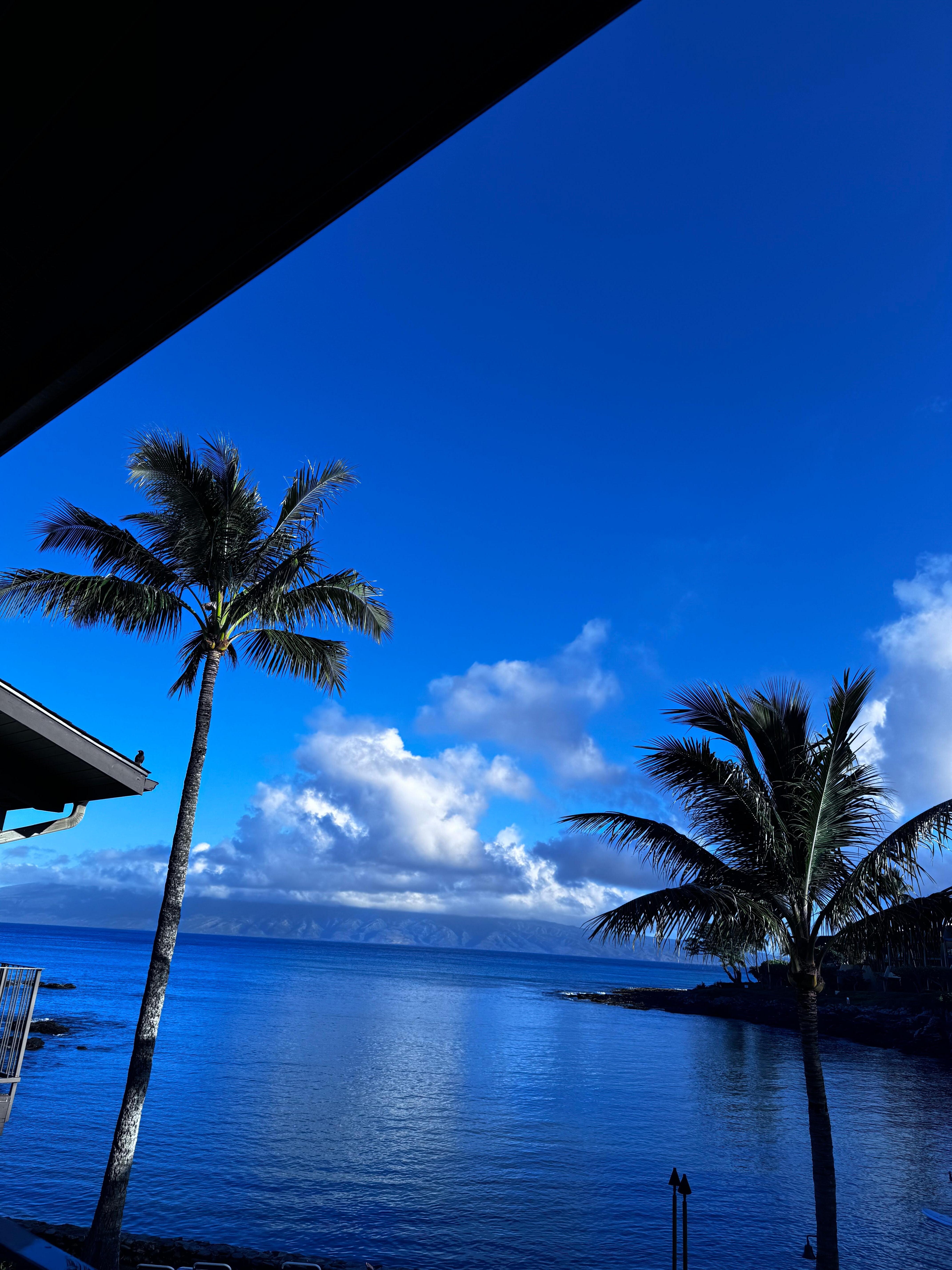 View from the balcony