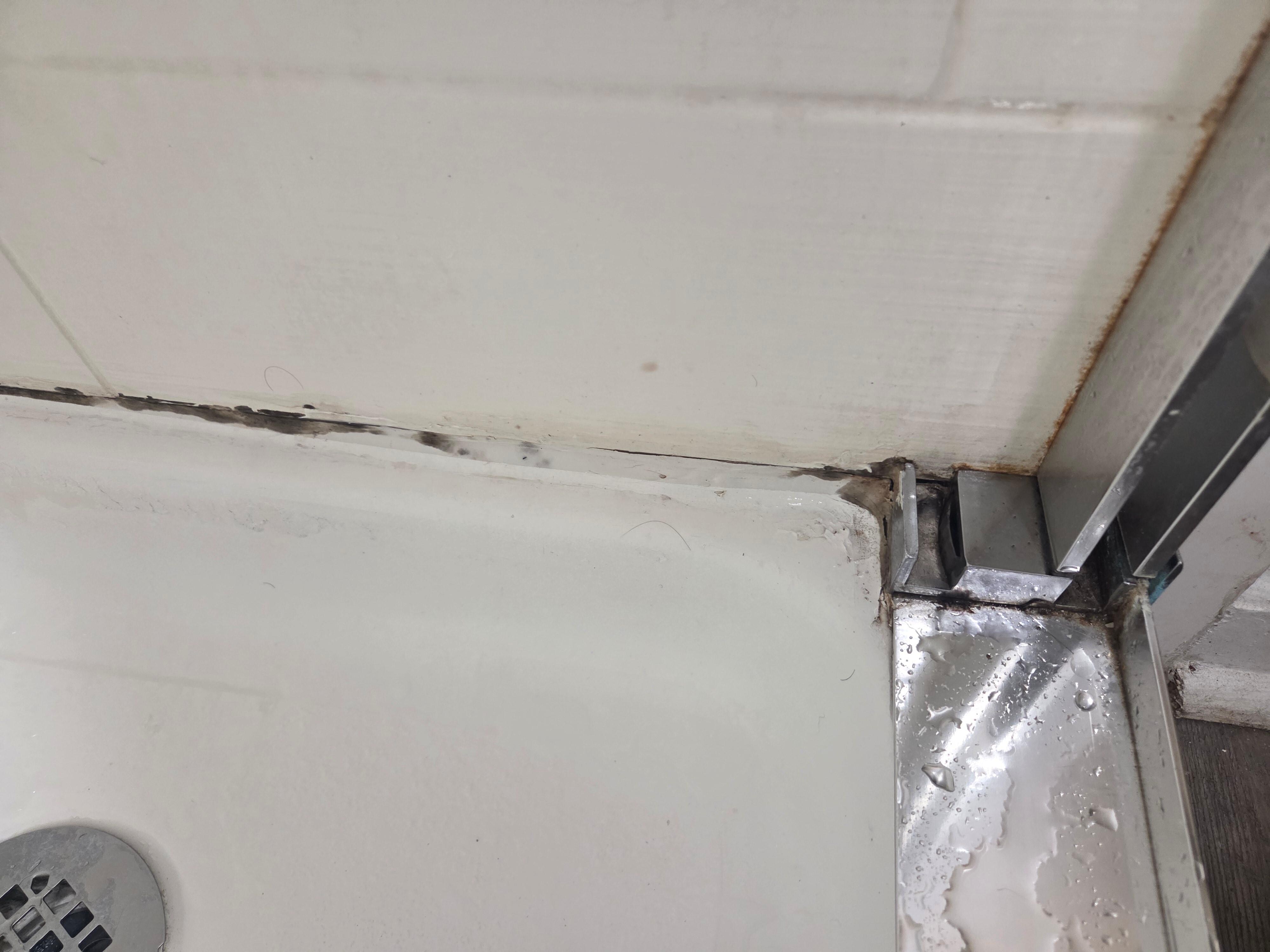 Moldy caulk in the shower.