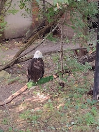 Zoo