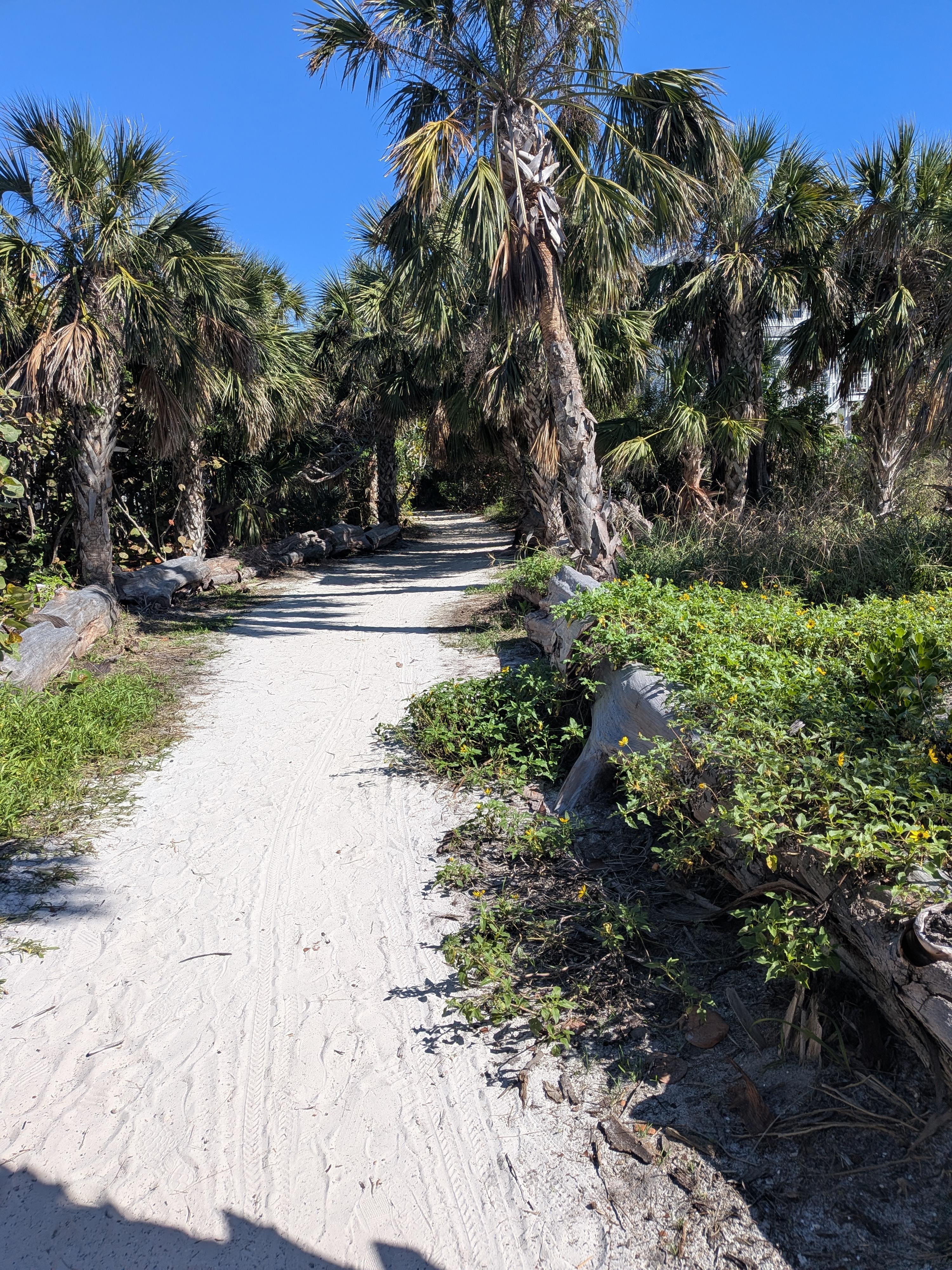 Walkway to Bean Point