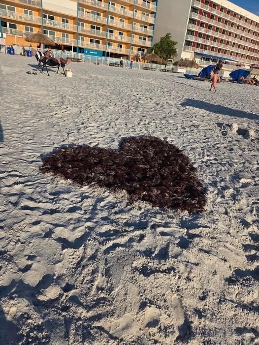 Heart on beach with coral Ram Sea building in back
