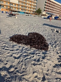 Heart on beach with coral Ram Sea building in back