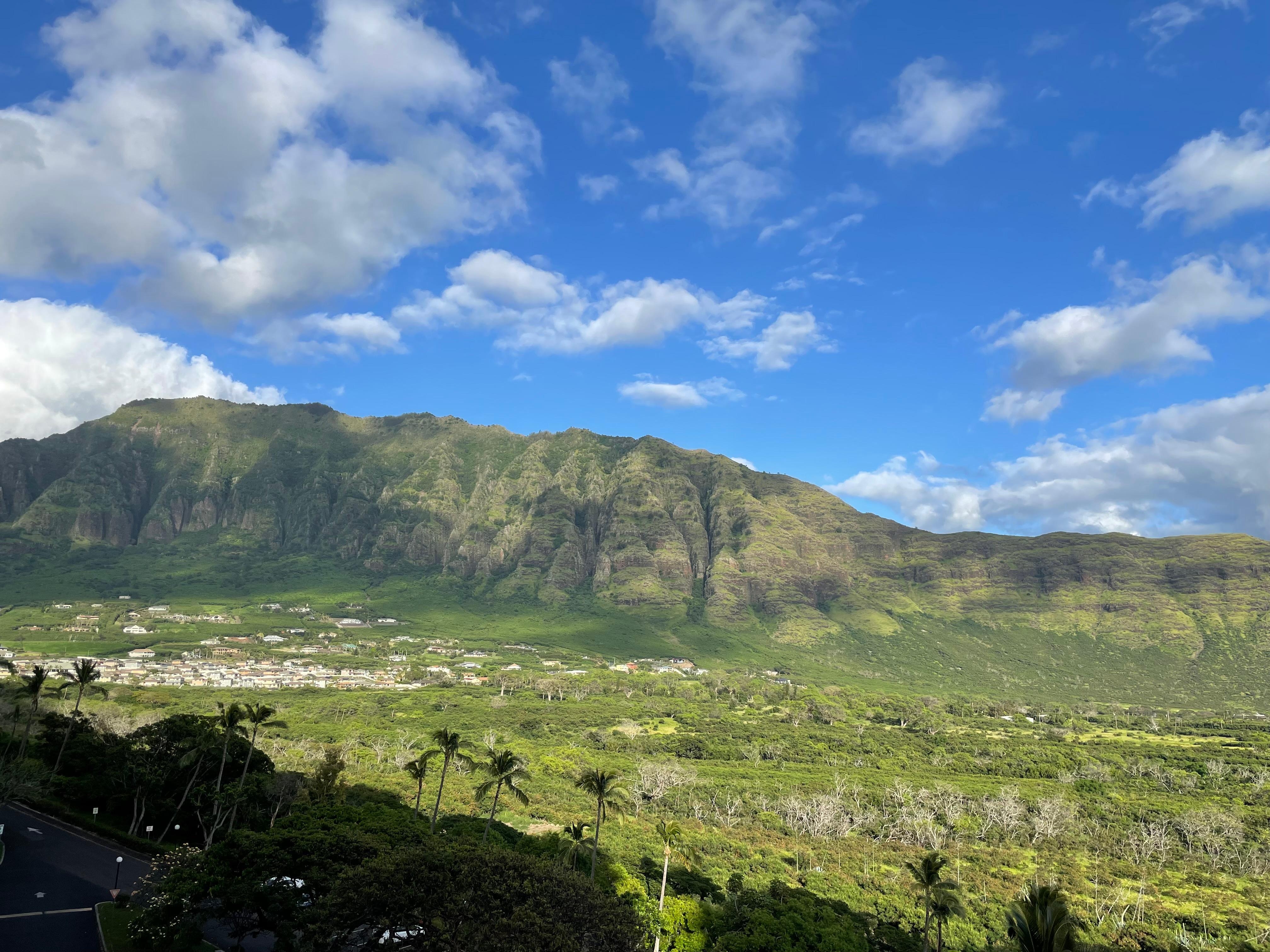 Morning view! We were told every was very green because of the big storms about a month ago.
