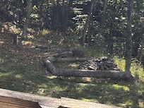 Firepit