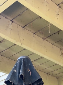 Spider webs and debris falling from above