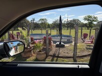 Longhorns, so beautiful.