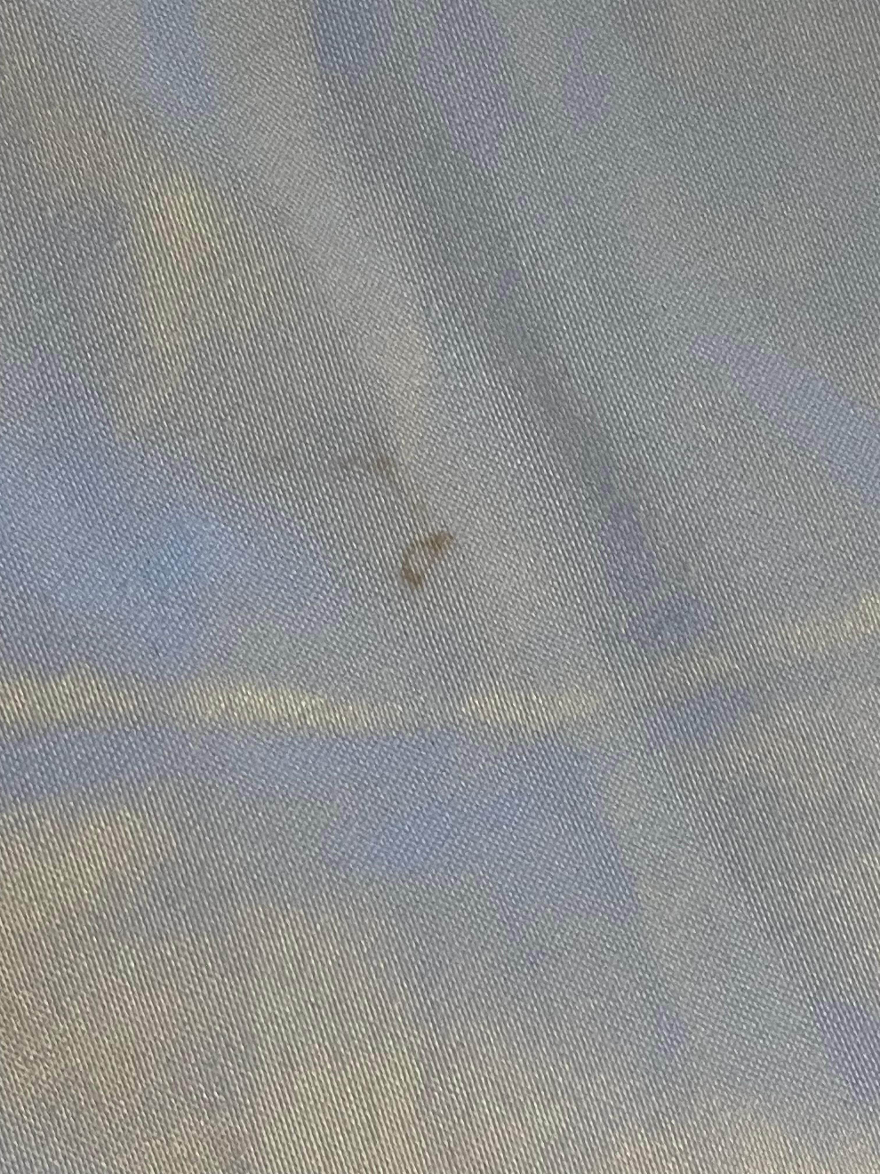 Bugs in the window. Staff told me there was bugs in every room when I told her about them.