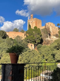 Photo of Alhambra from apartment’s terrace