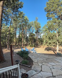 Our view off the back porch.