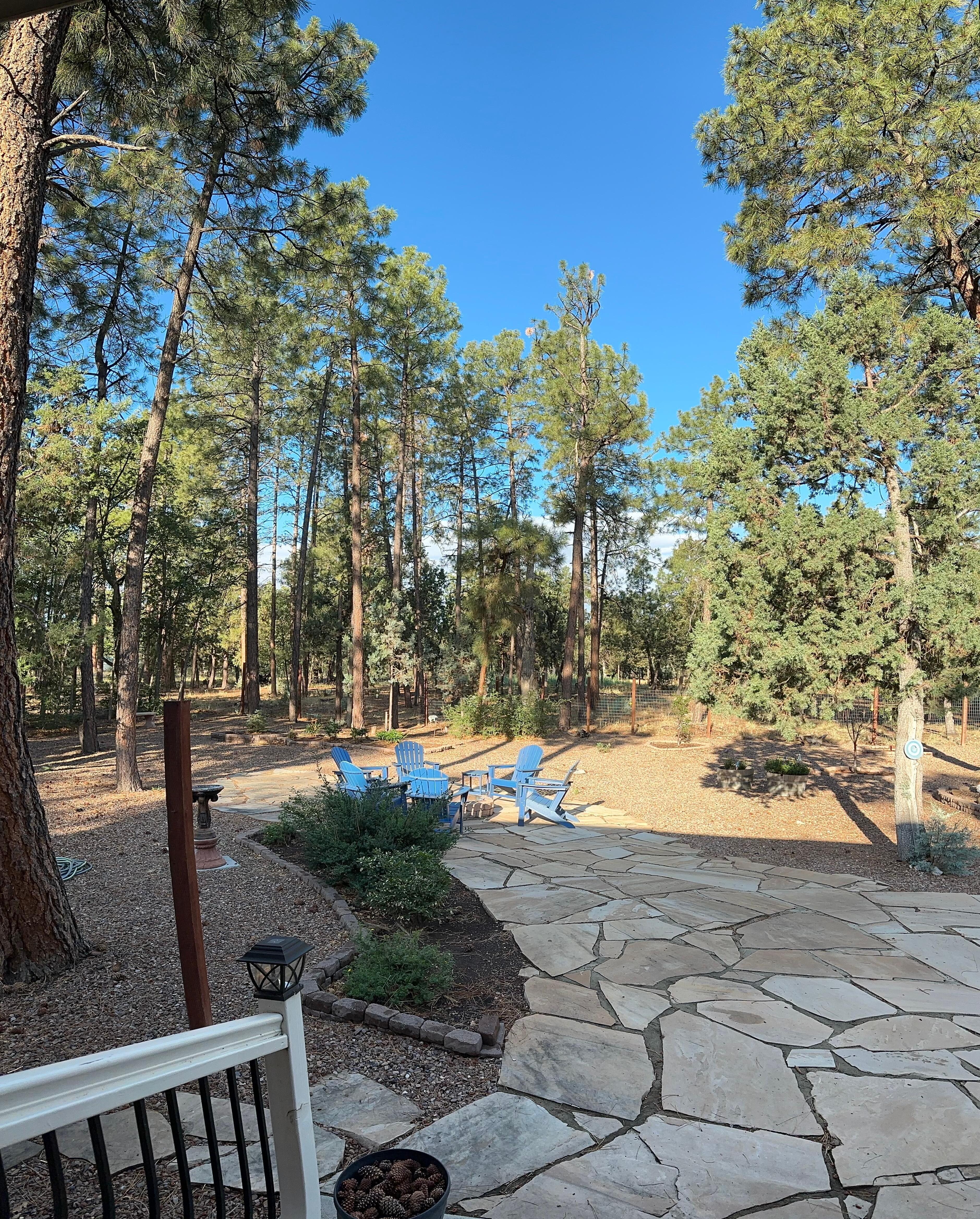 Our view off the back porch. 
