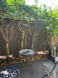 Our private outside space