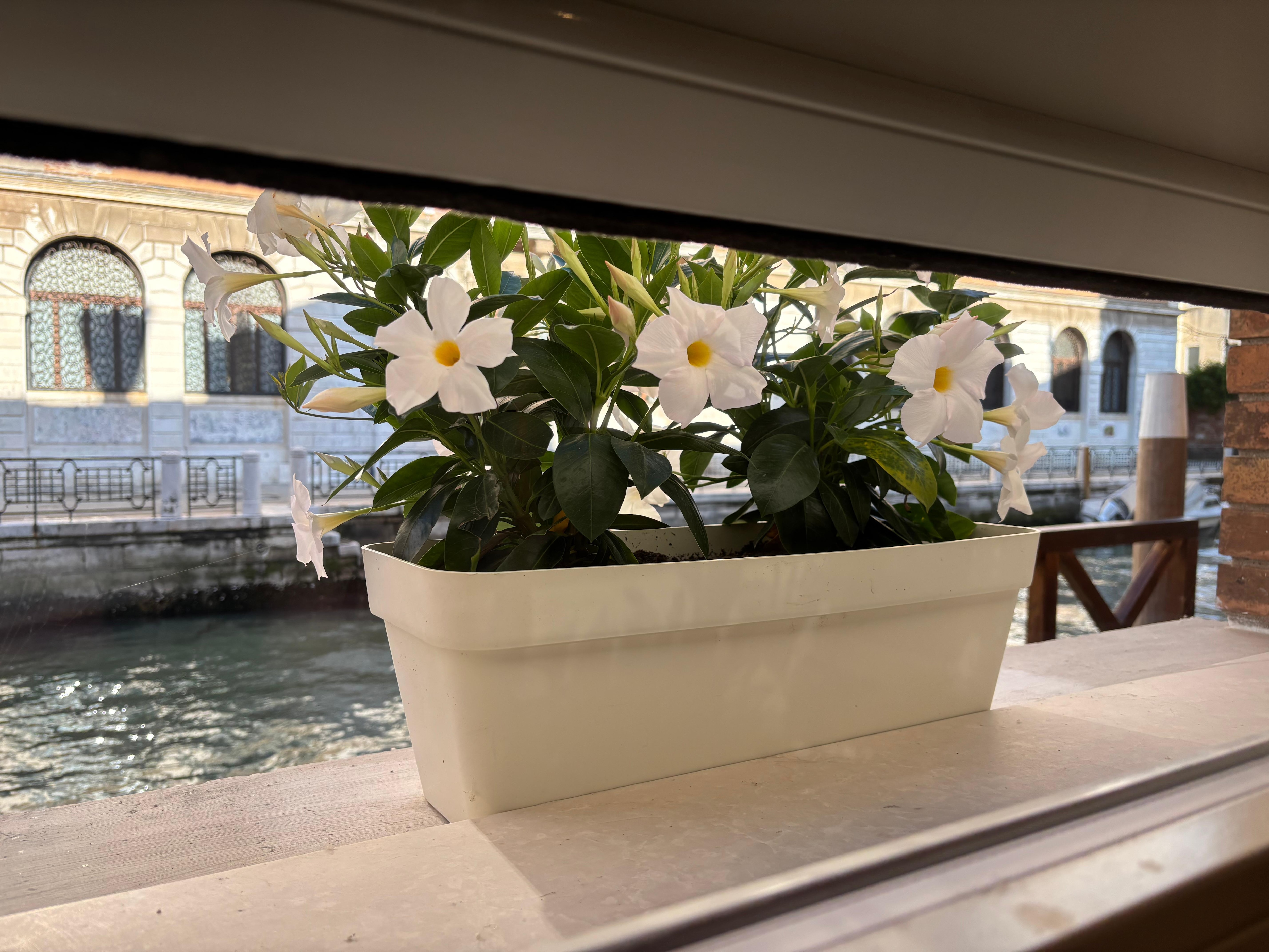 View from the bigger bedroom