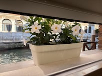 View from the bigger bedroom