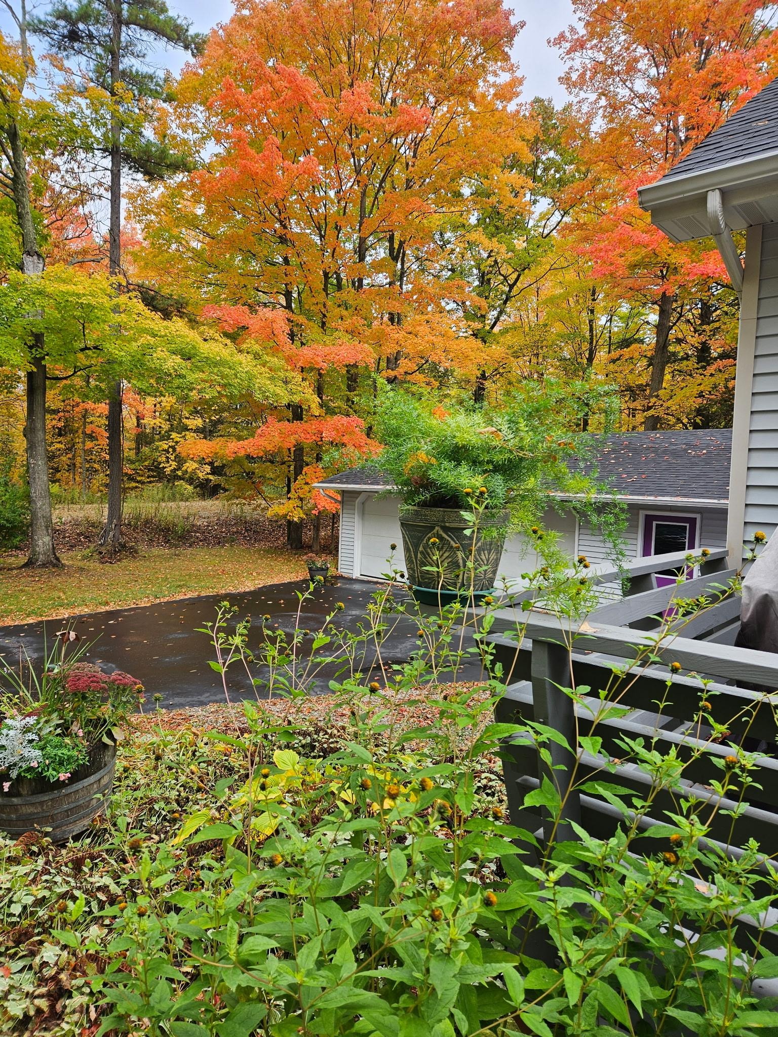 Property around house beautiful with the Fall colors