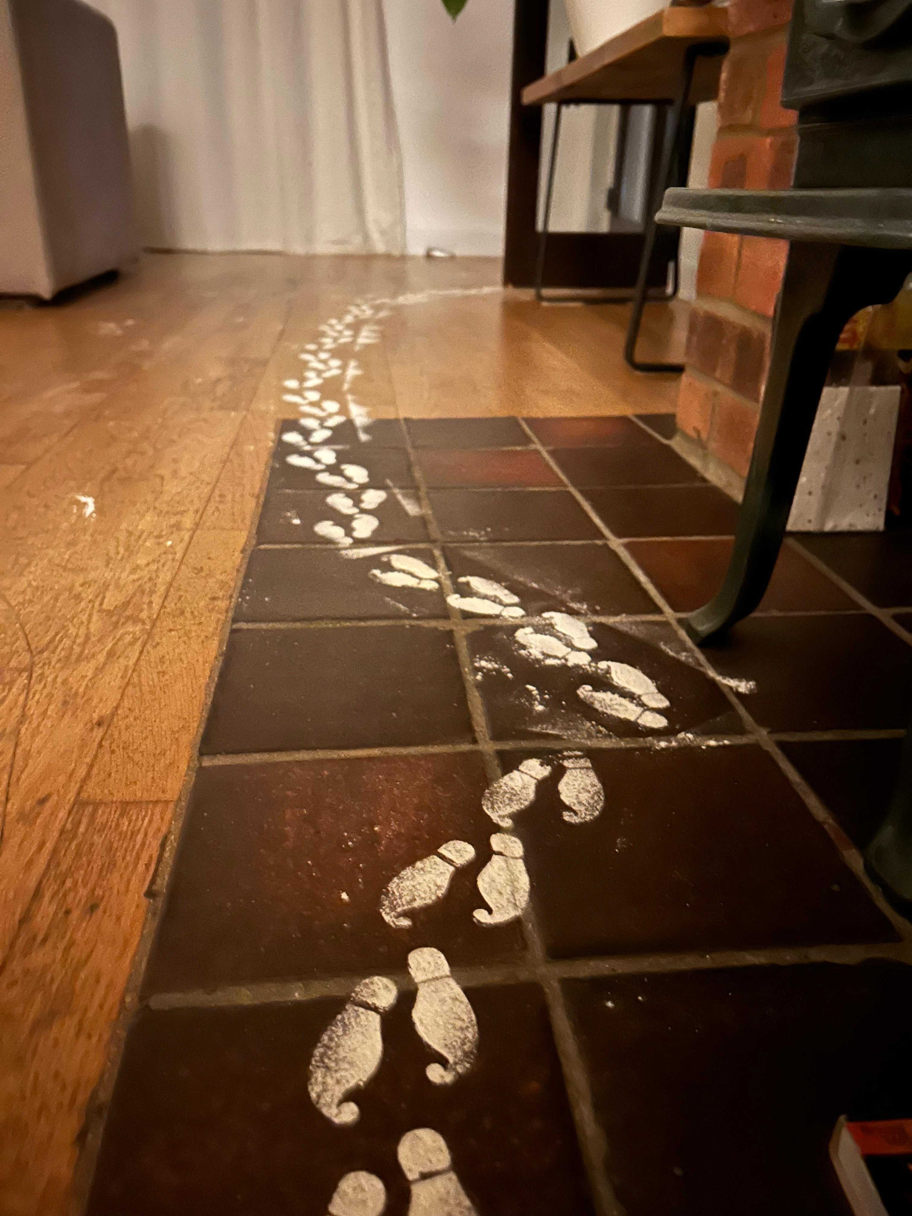 Christmas morning visitors!