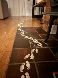 Christmas morning visitors!