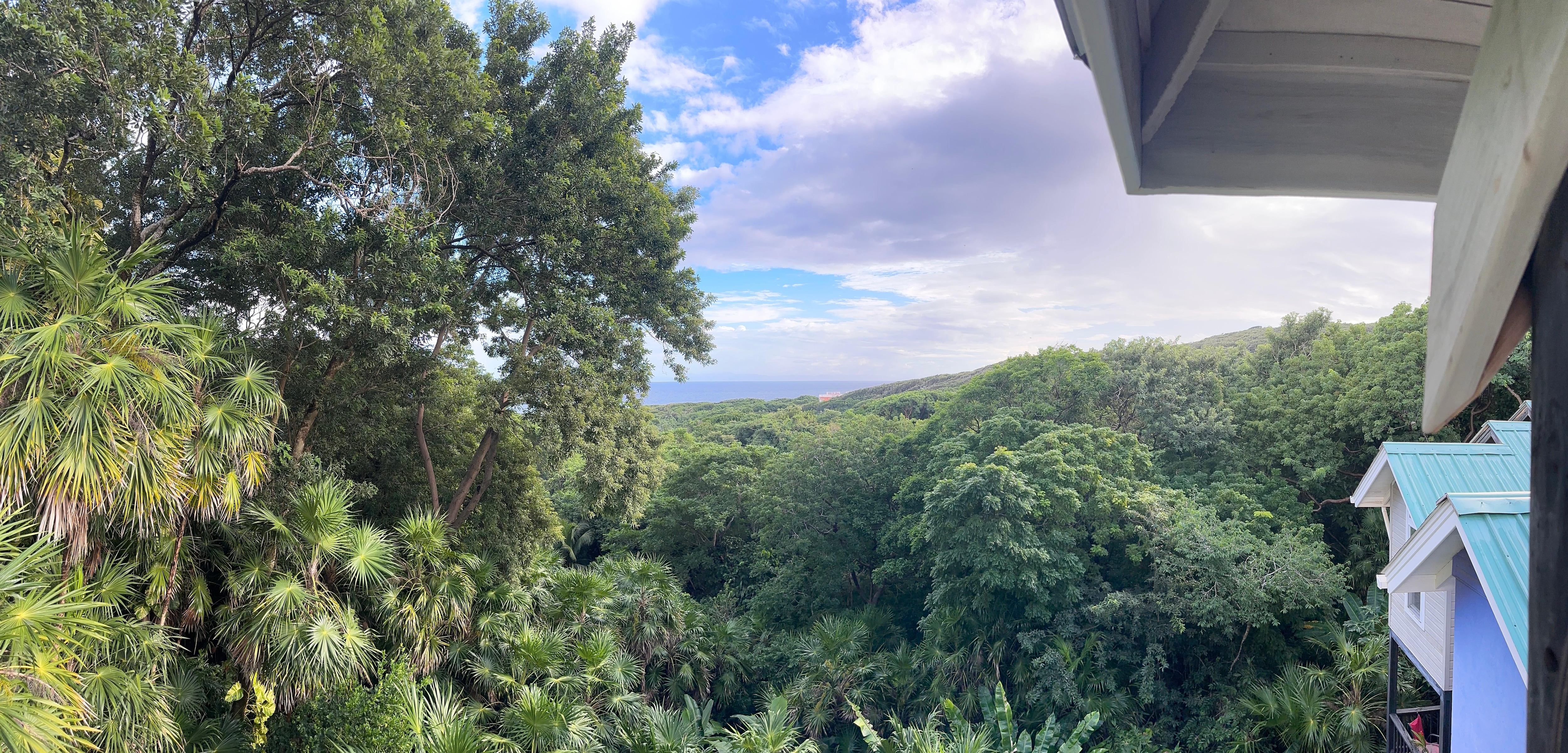 Perfect views amidst unique architecture.