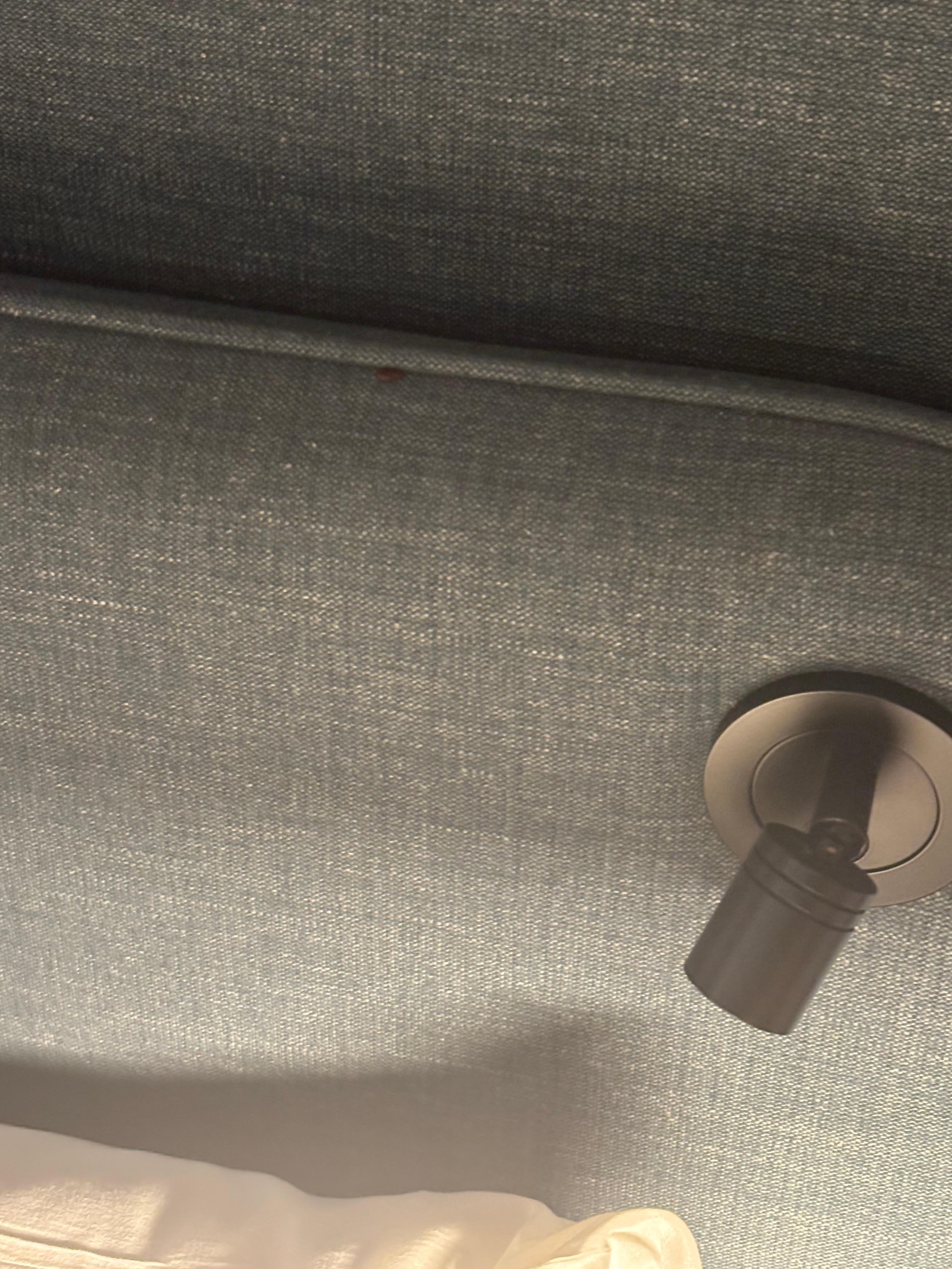 Bedbug on the headboard