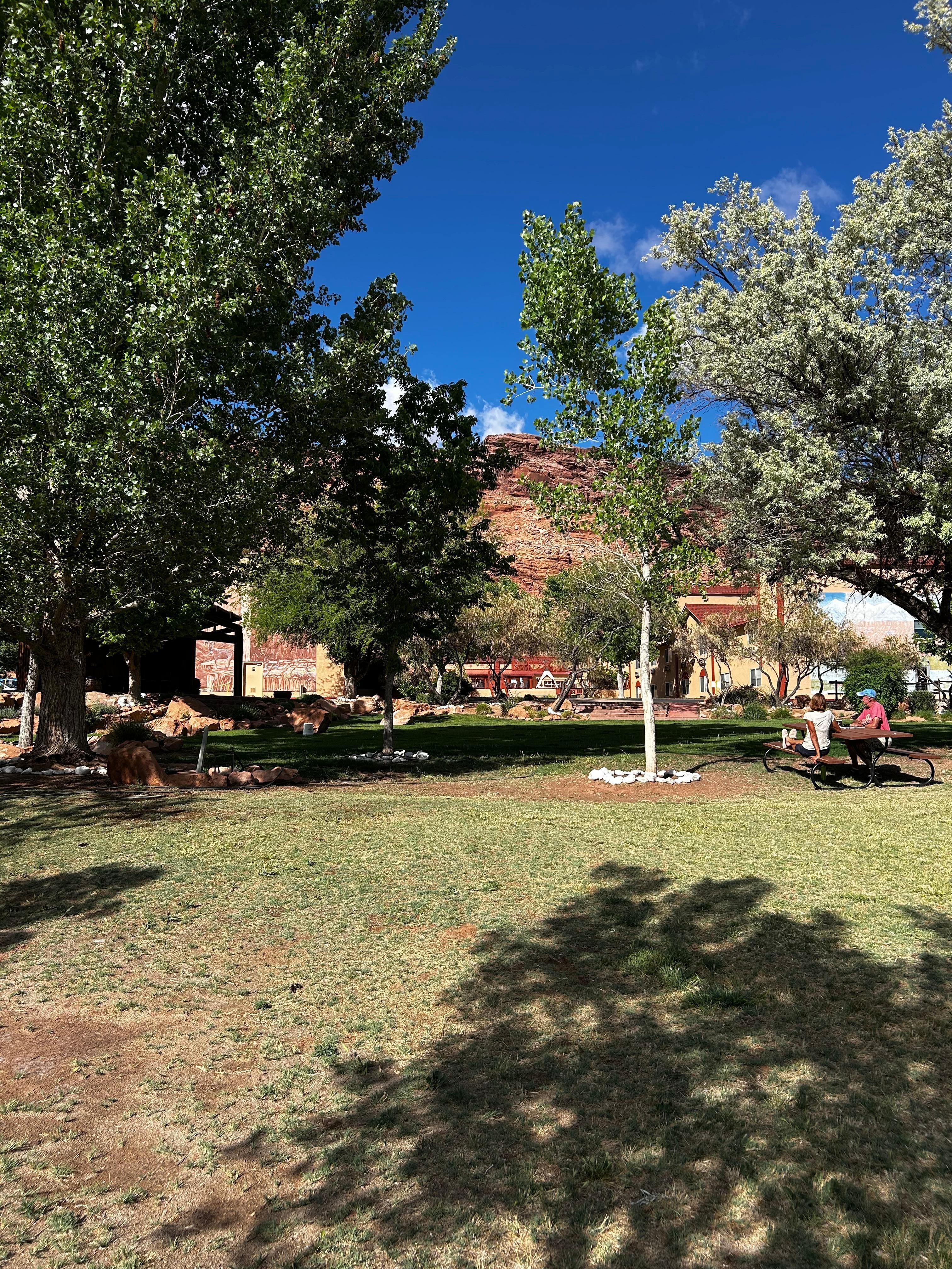 Playground picnic area