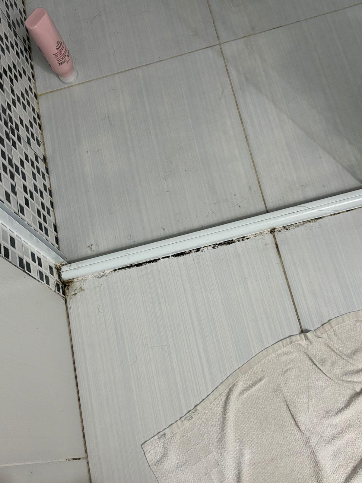 Entrada do box do banheiro, puro mofo