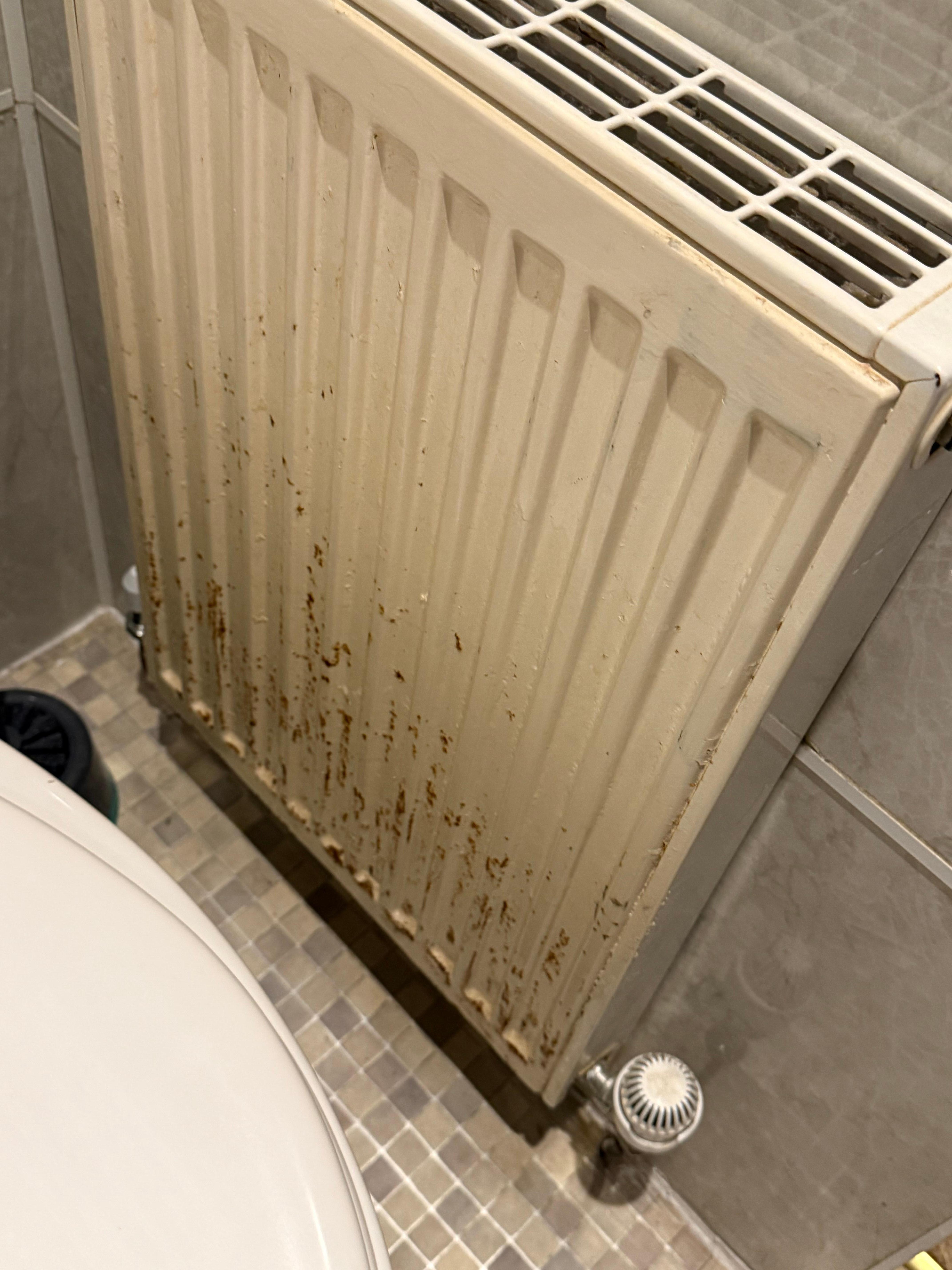 Rusty heater