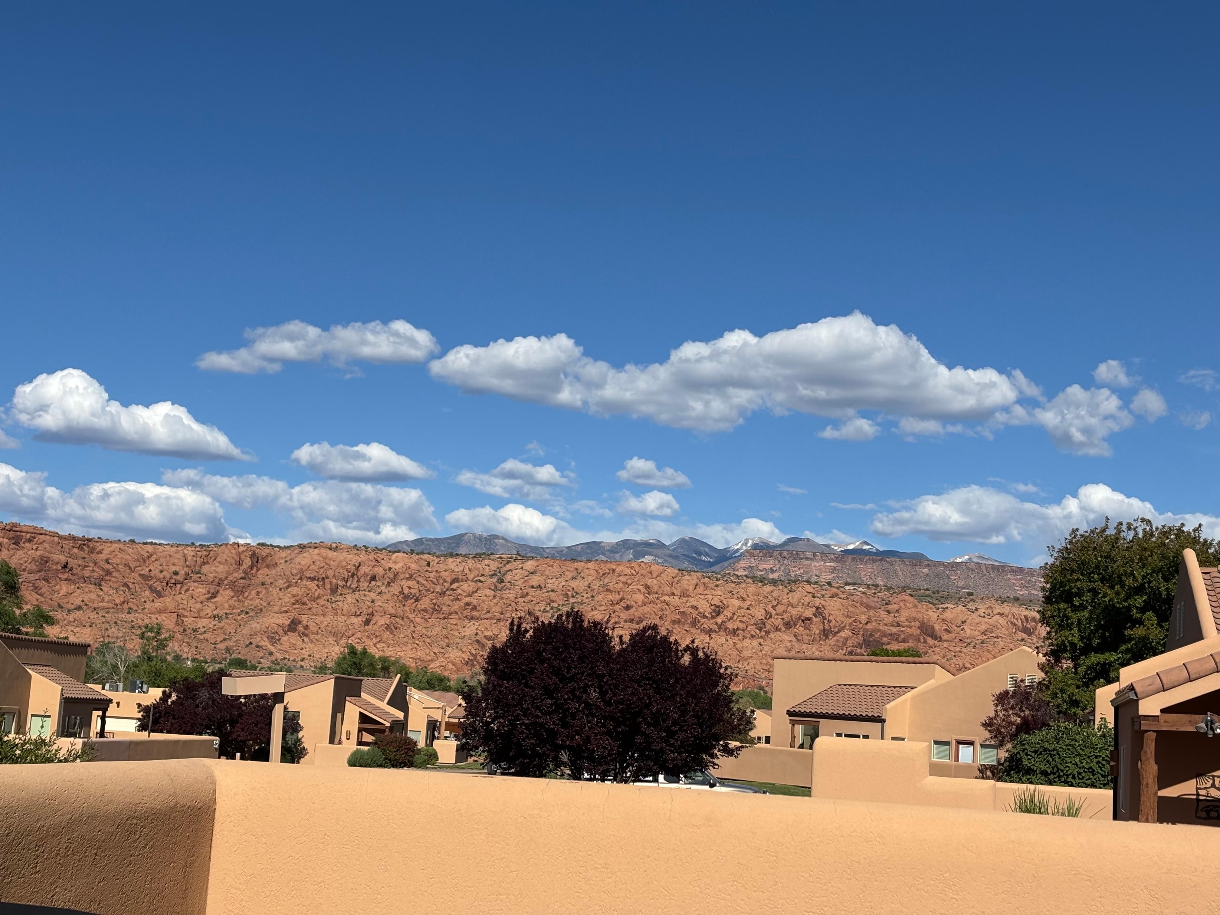 View from the patio