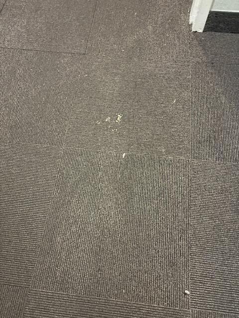 More dirty carpets