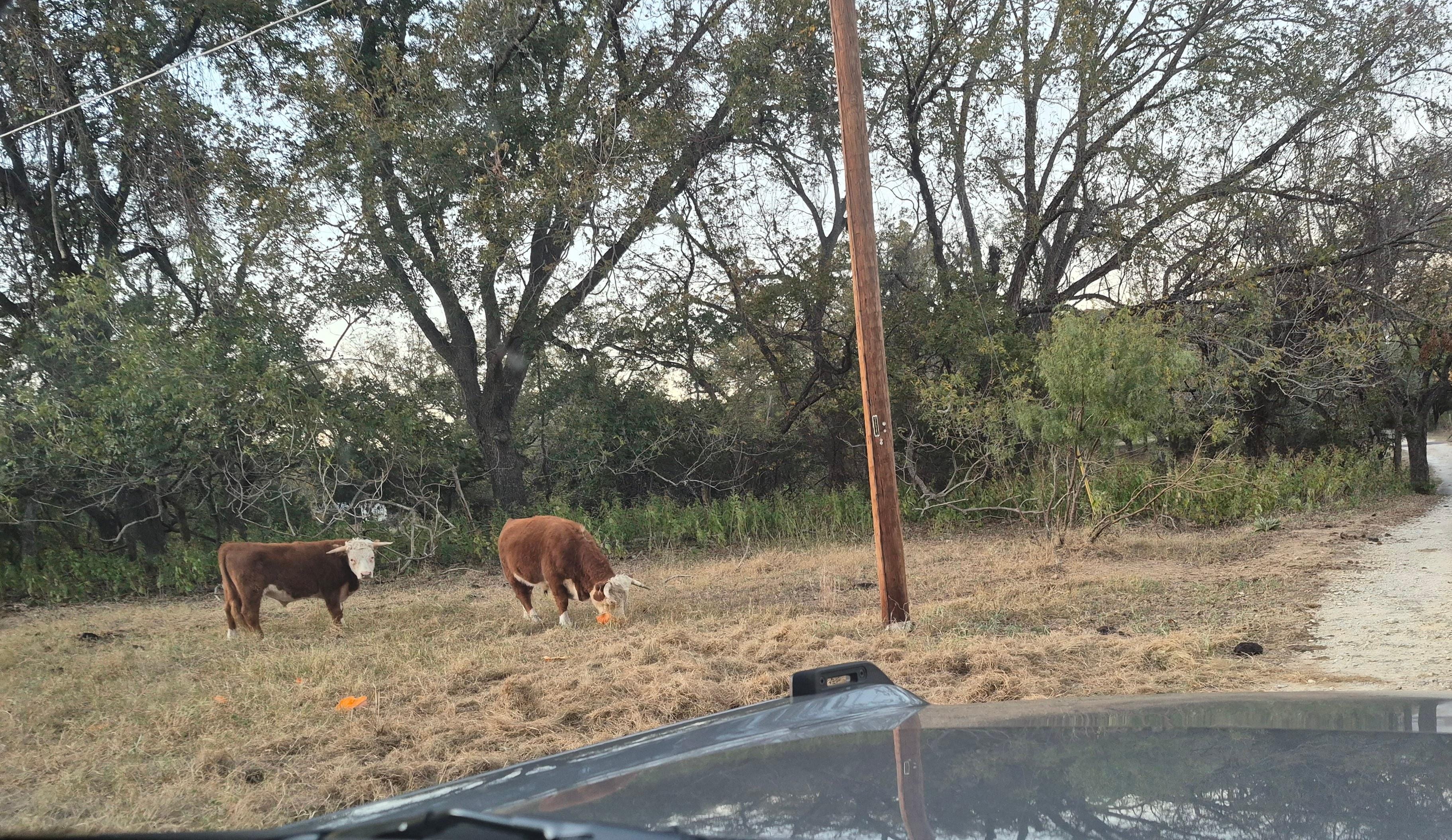 Upon driving into the property.