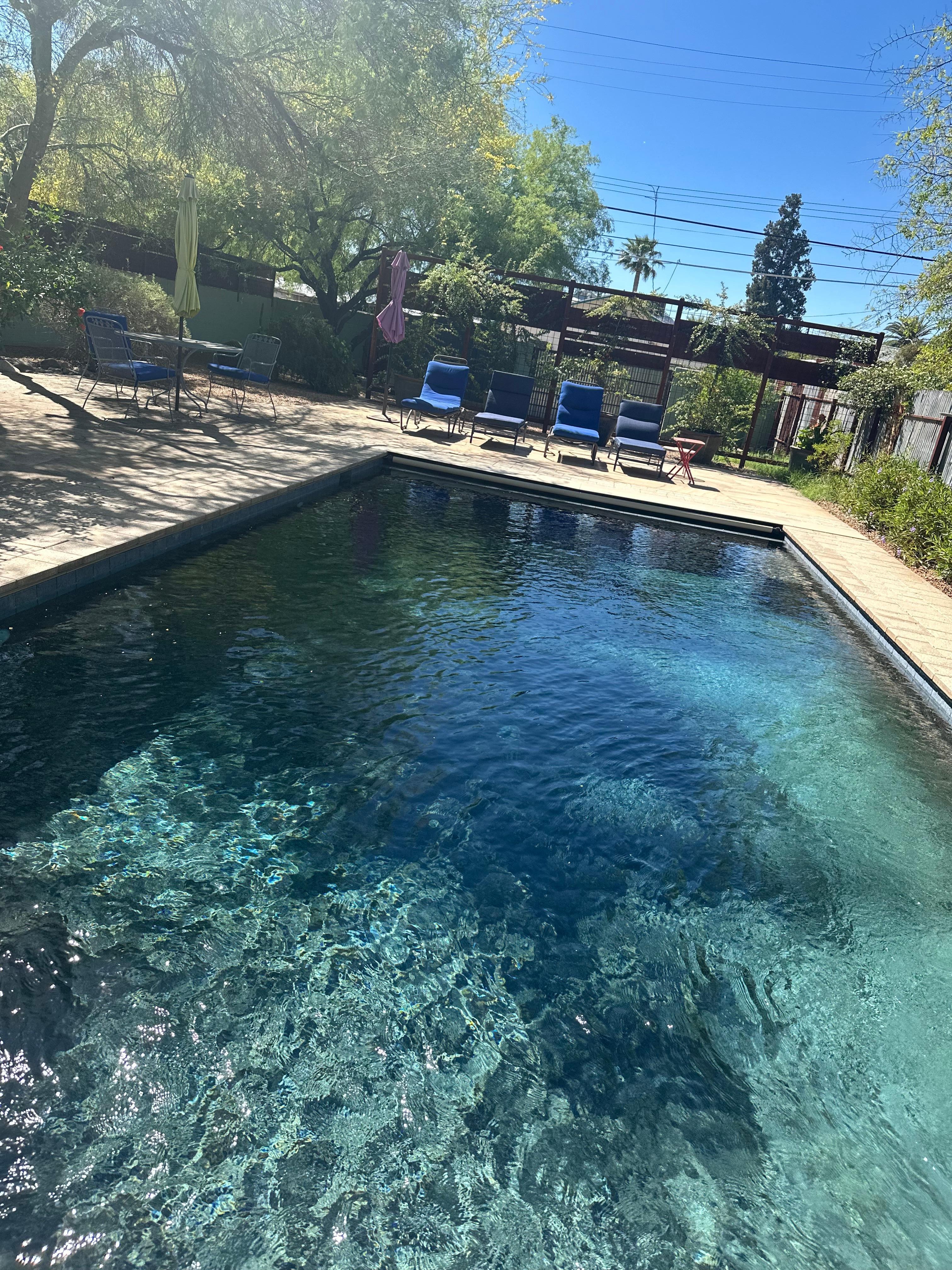 Beautiful pool and backyard 