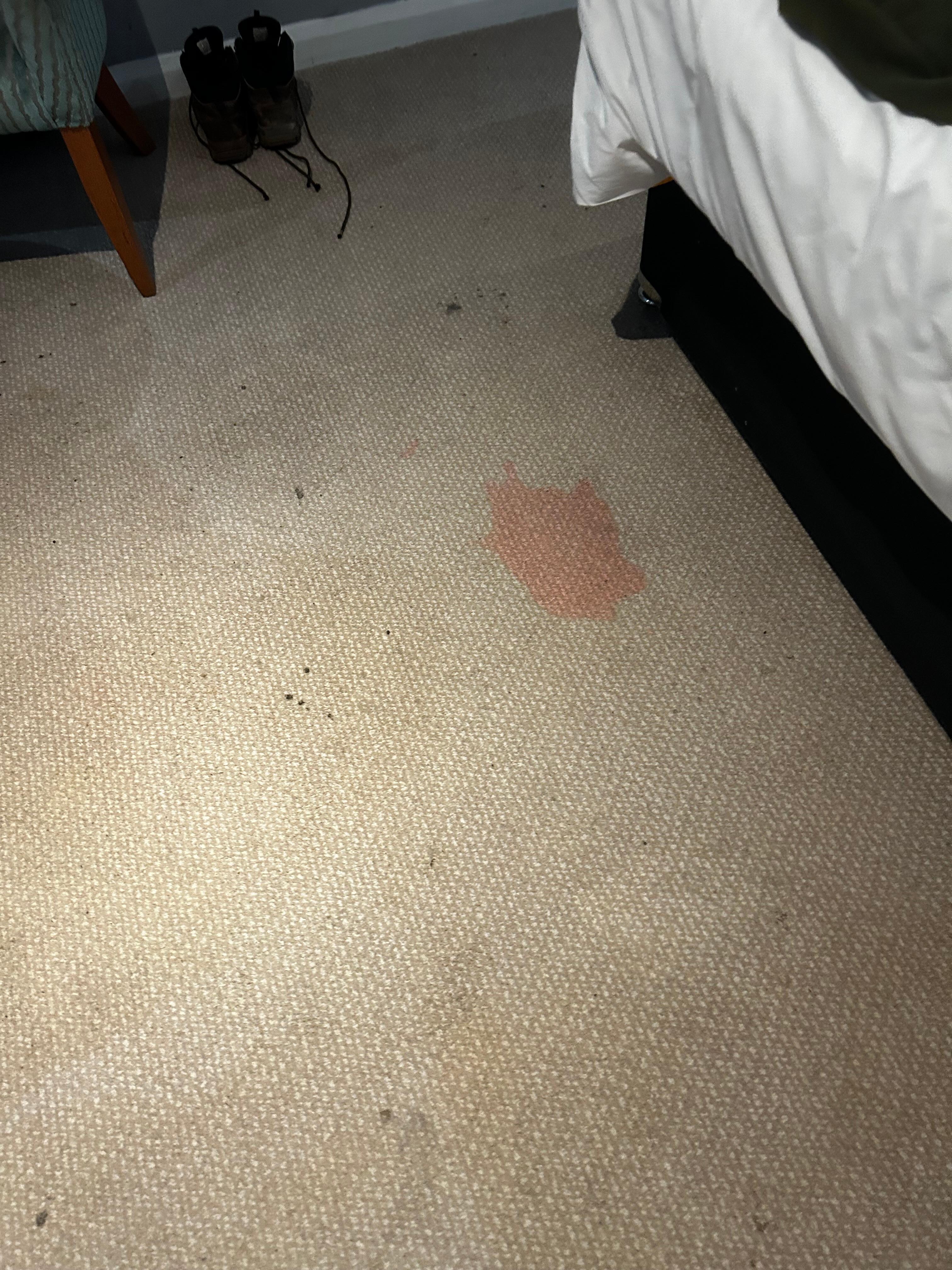 Carpet in the bedroom 