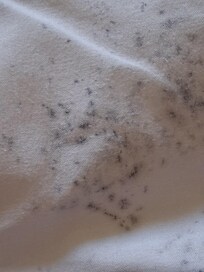Dirty mould marks on linen