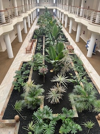 The hallways outside the rooms - stunning!