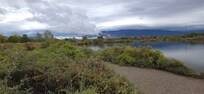 Took a walk along the Colorado River