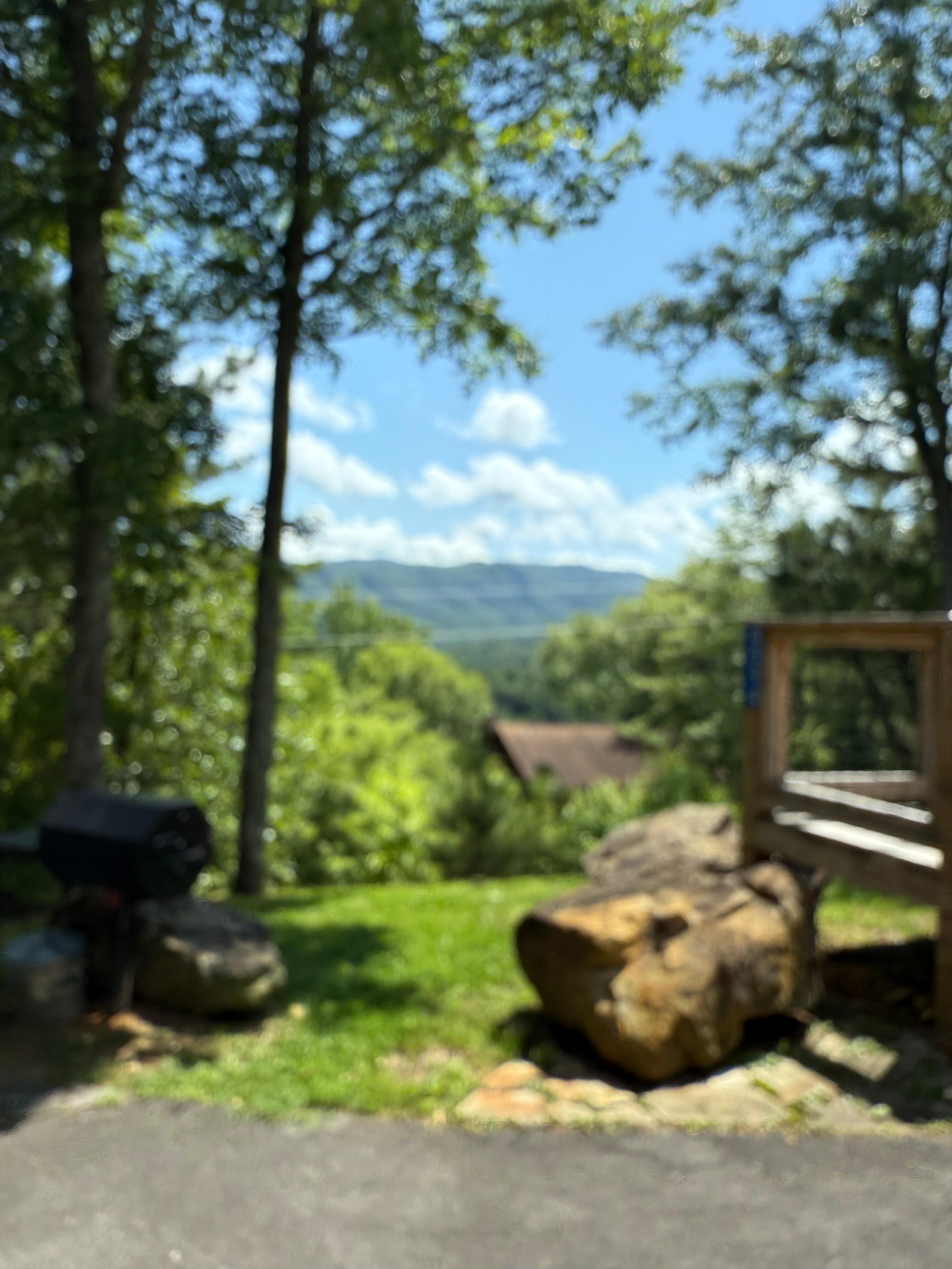 Beautiful view from the driveway. 