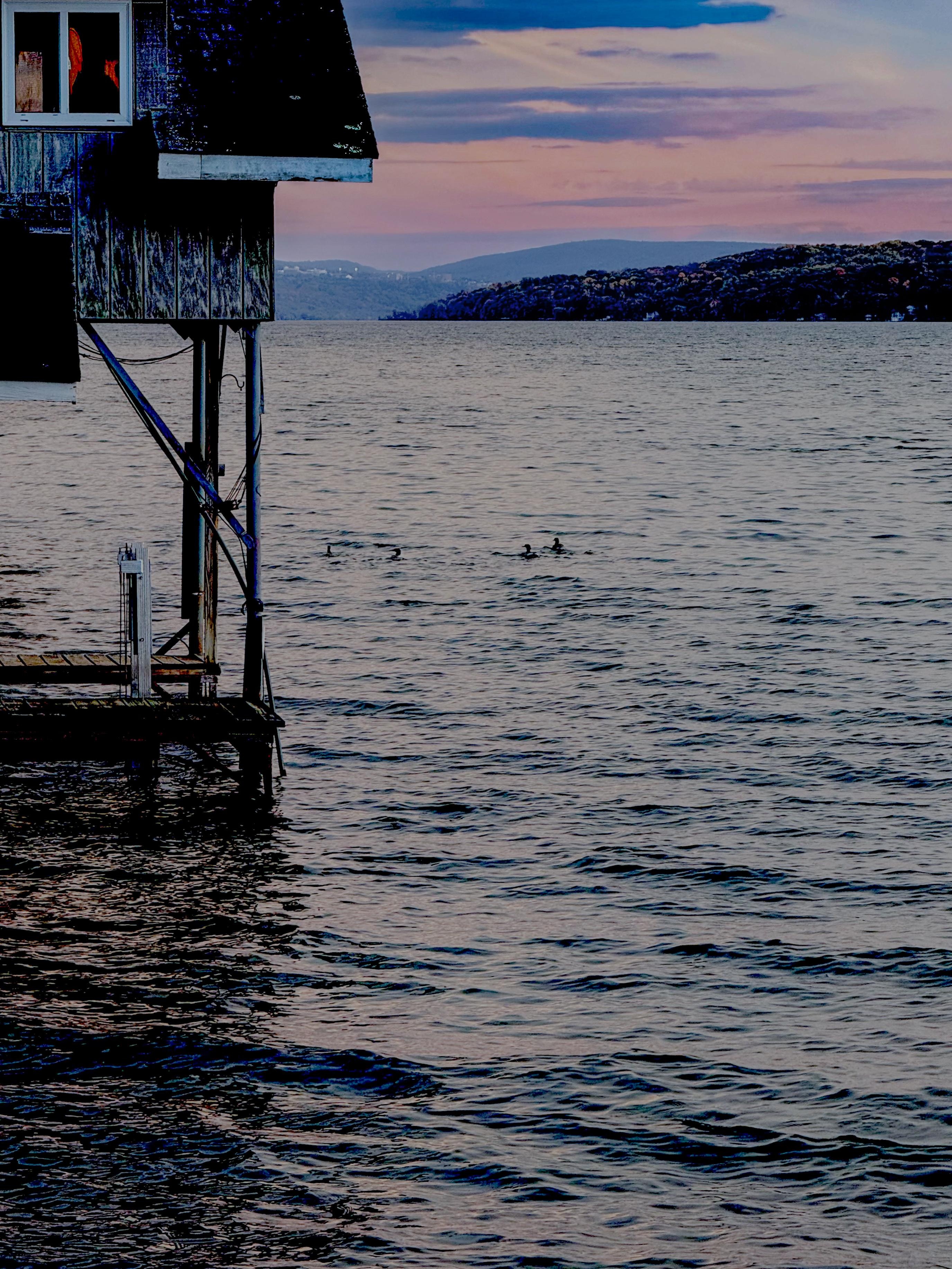 Sunset off the boathouse dock with Loons in the water