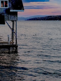 Sunset off the boathouse dock with Loons in the water