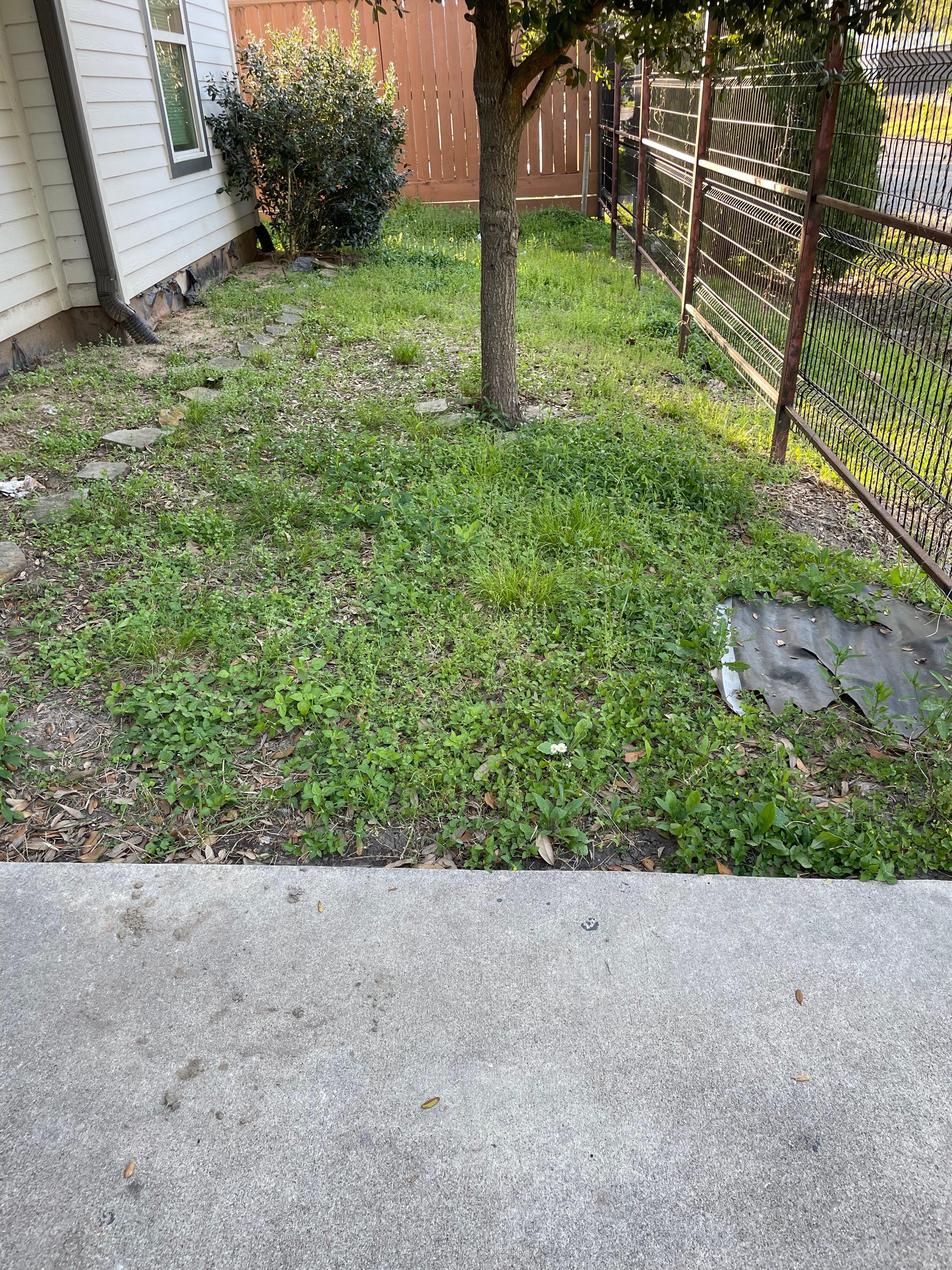 Front yard - no parking 