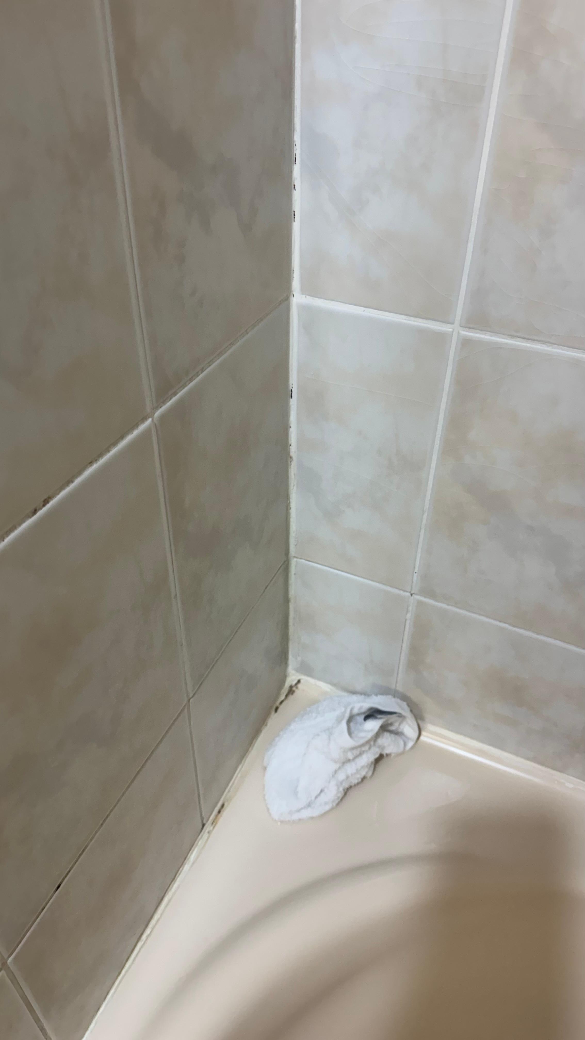 Mould around bathtub/shower
