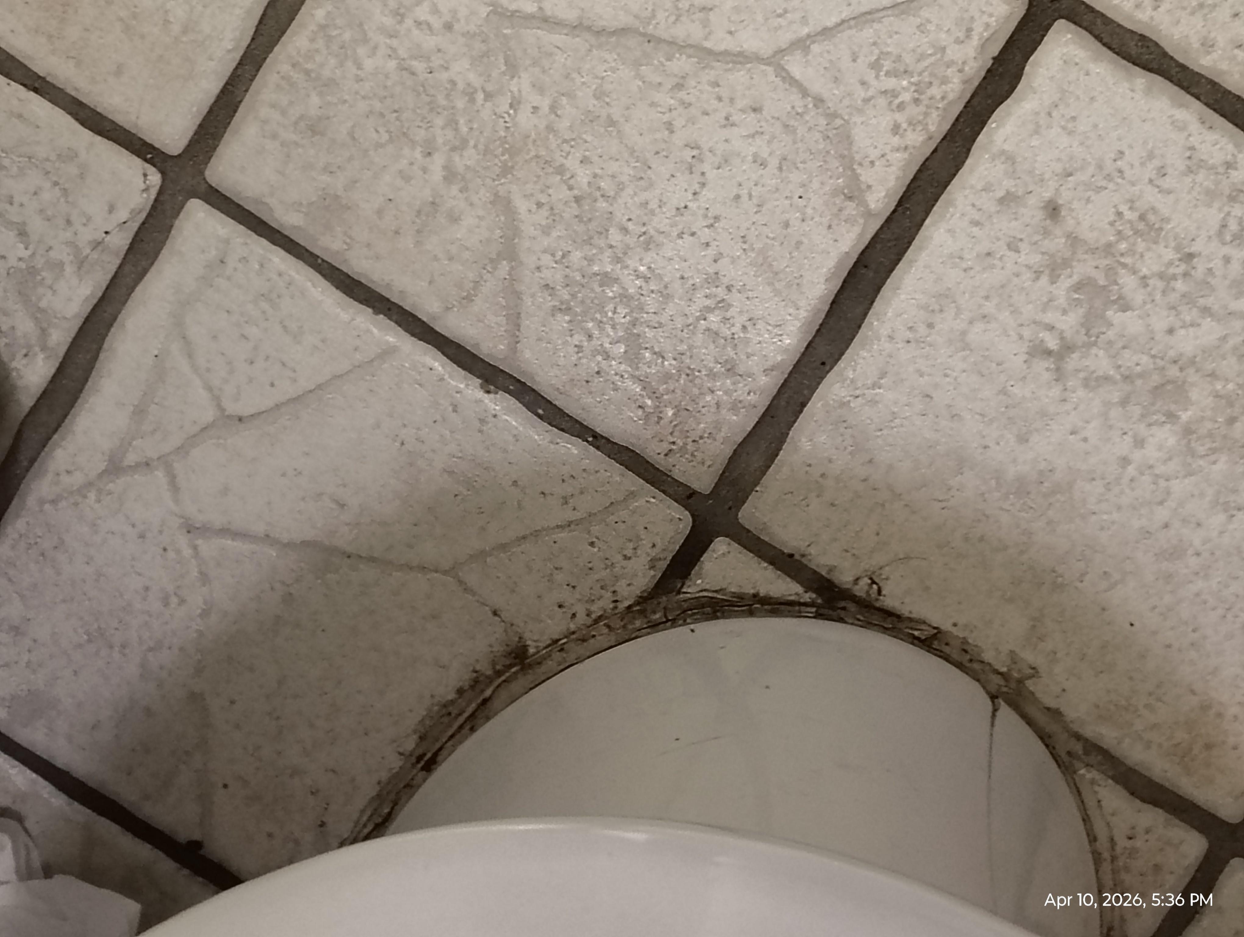 Room we were assigned 