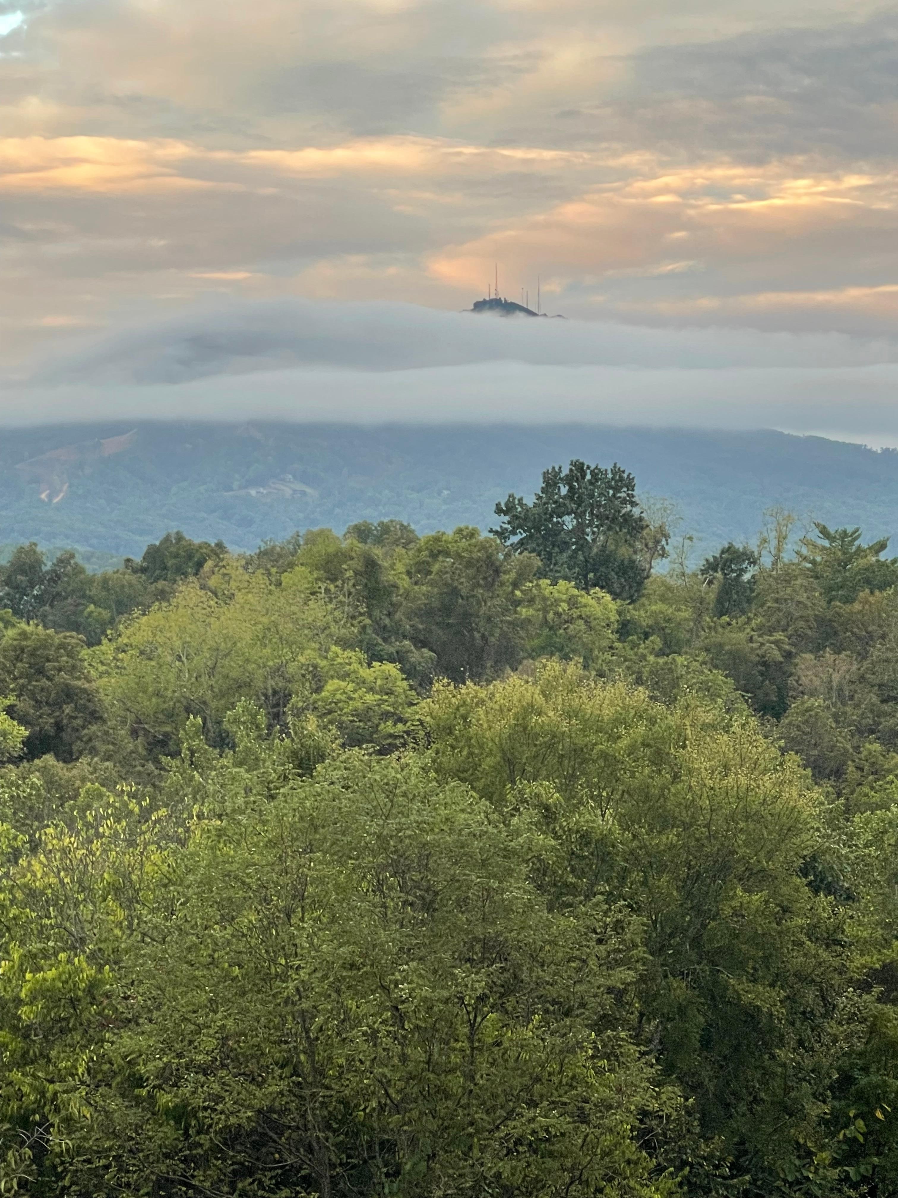 Morning from back of cabin 