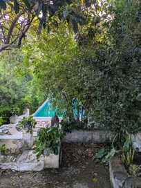 View to the pool.