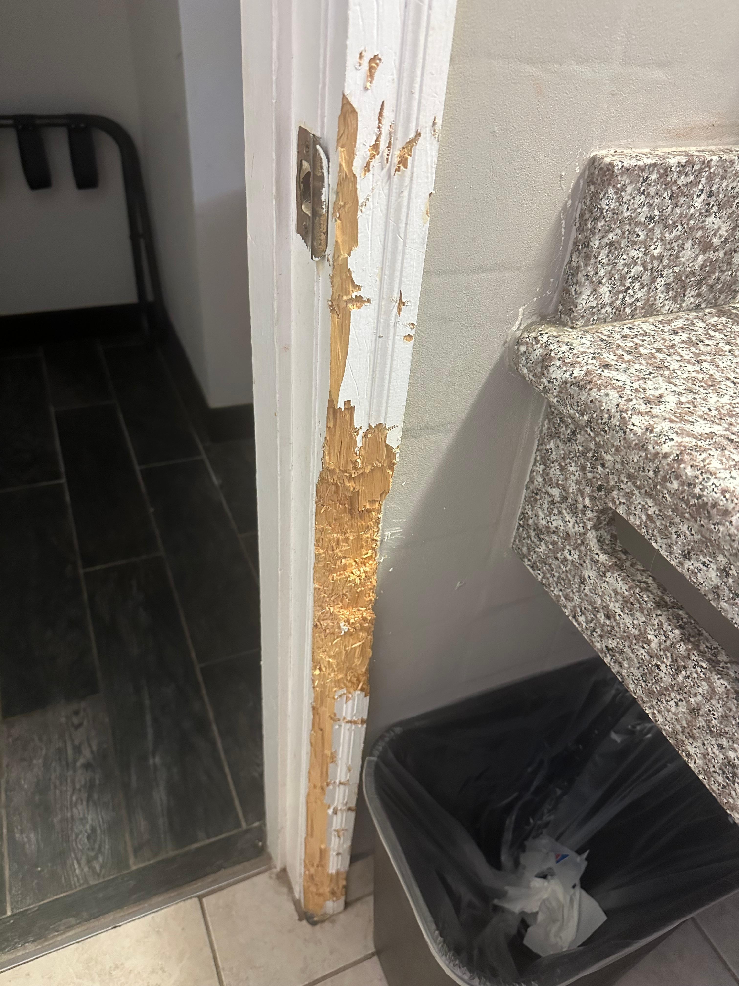 Door trim looks chewed 