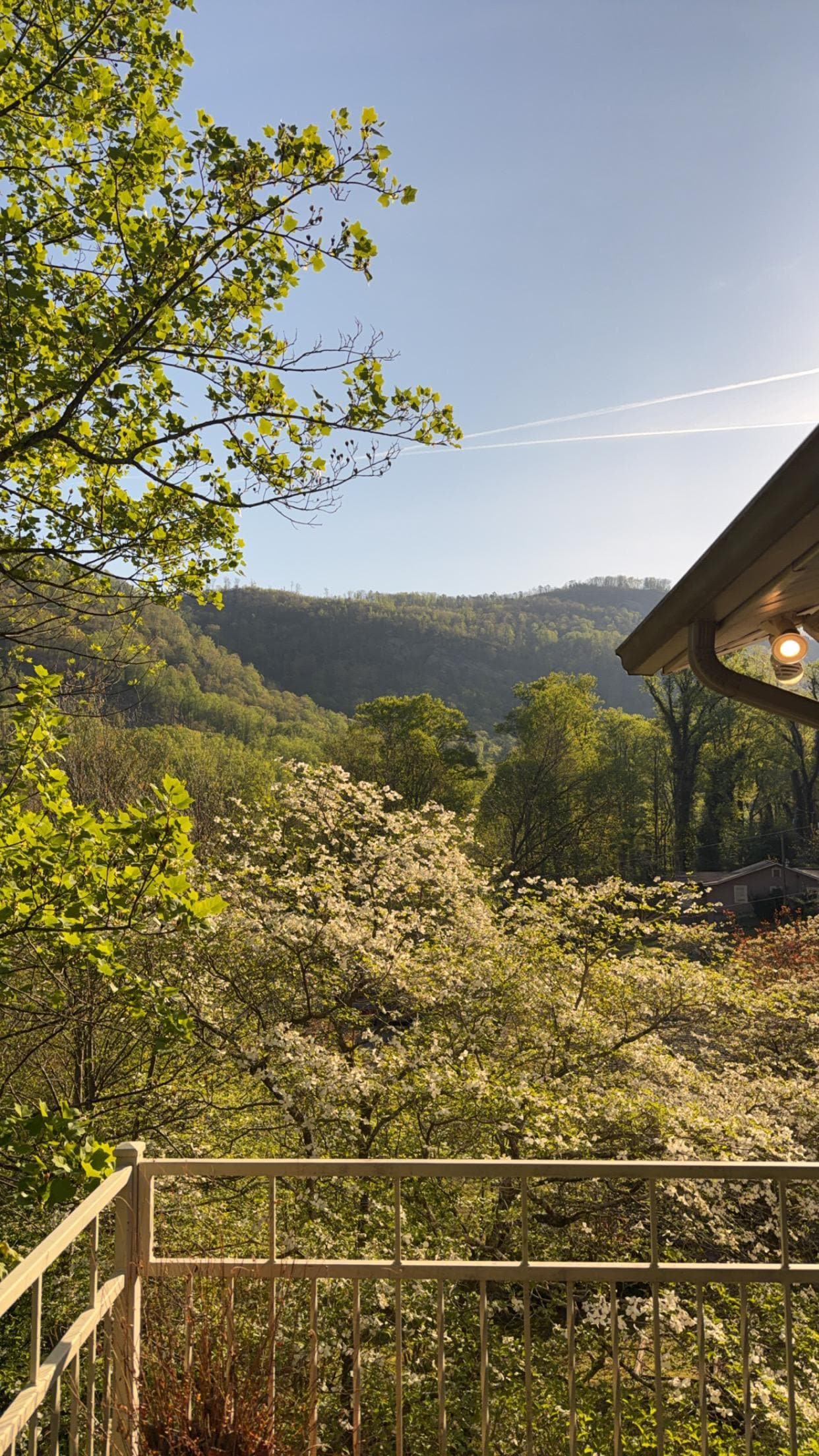 The view of the mountain off the top balcony 