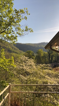 The view of the mountain off the top balcony
