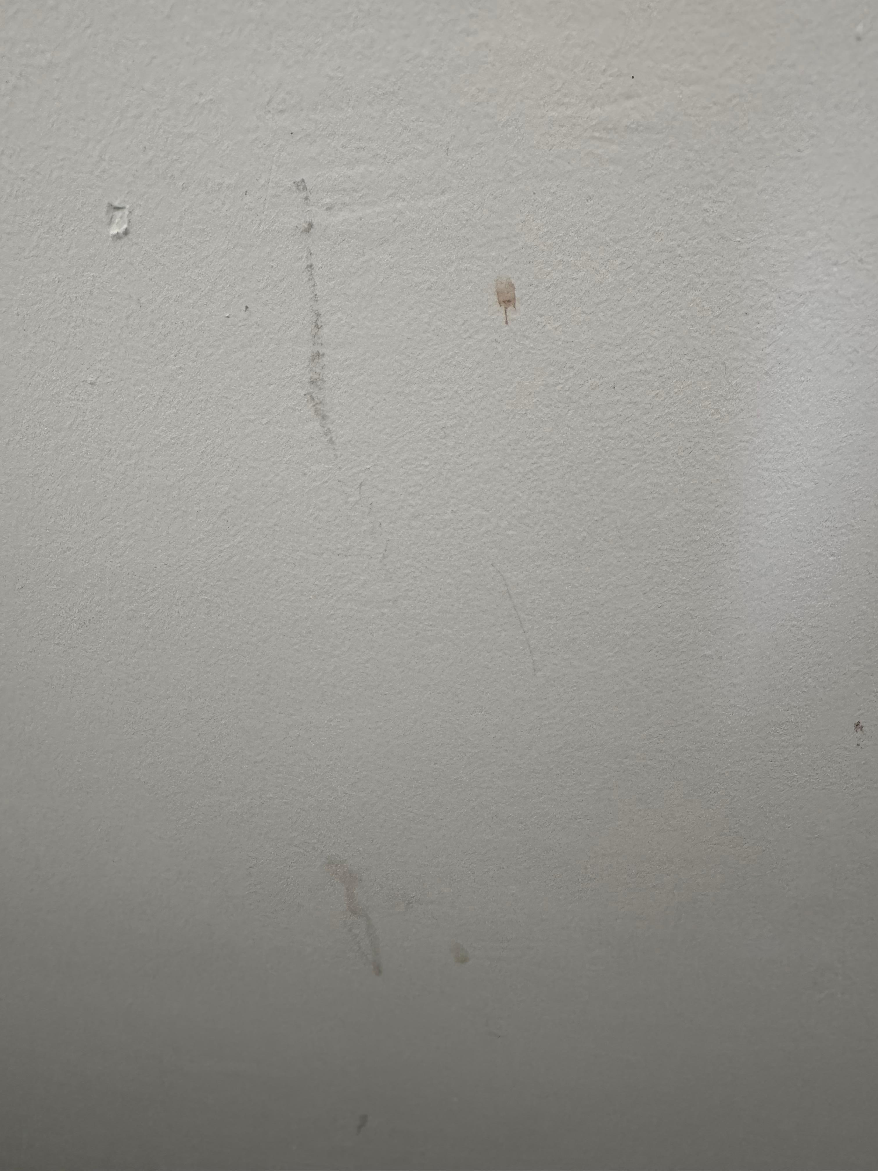 Blood marks on the wall in my room.