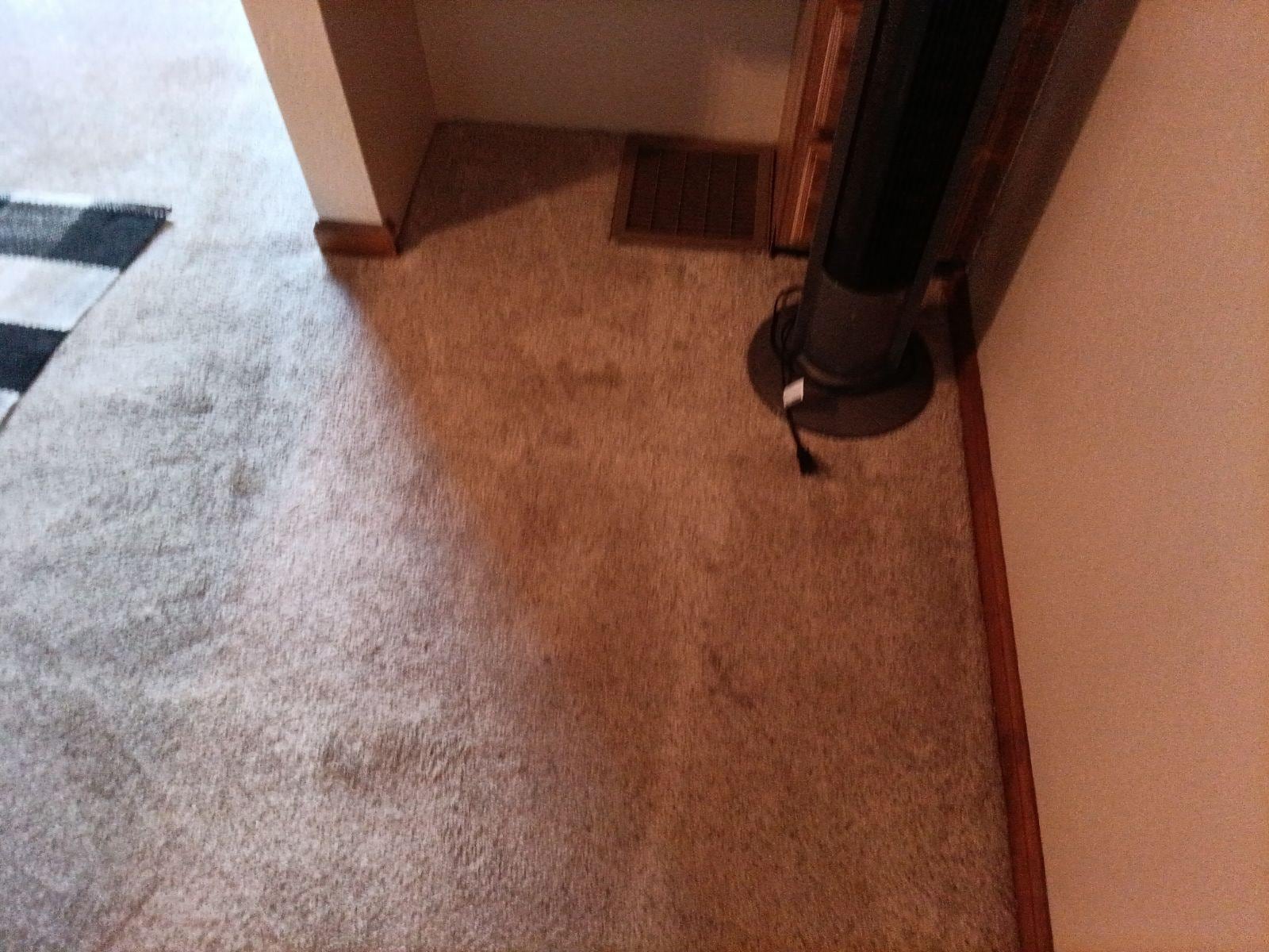 Heavily Stained carpet through entire unit