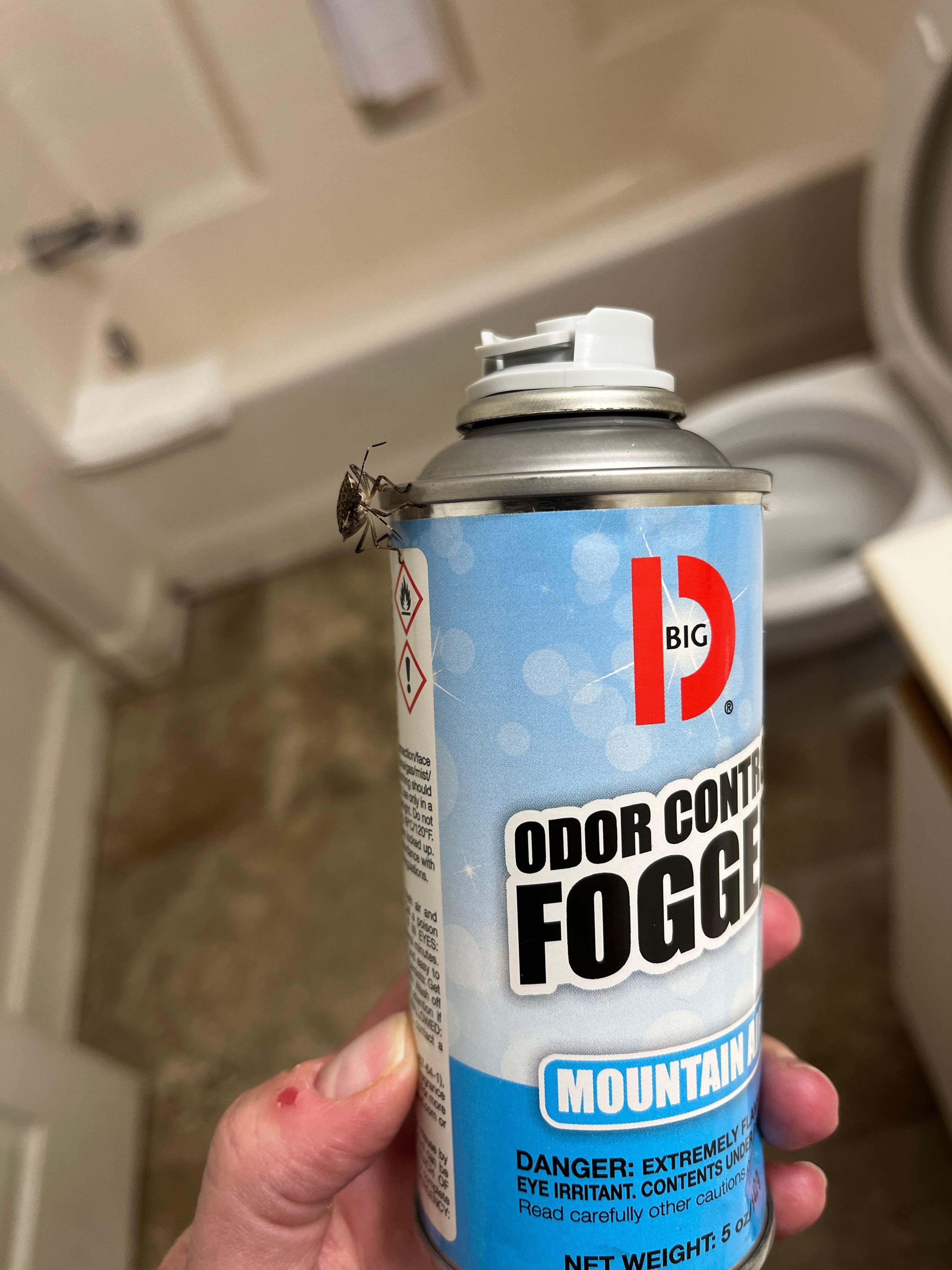 stink bug on the side of the Odor Control Fogger can found beside my bed.