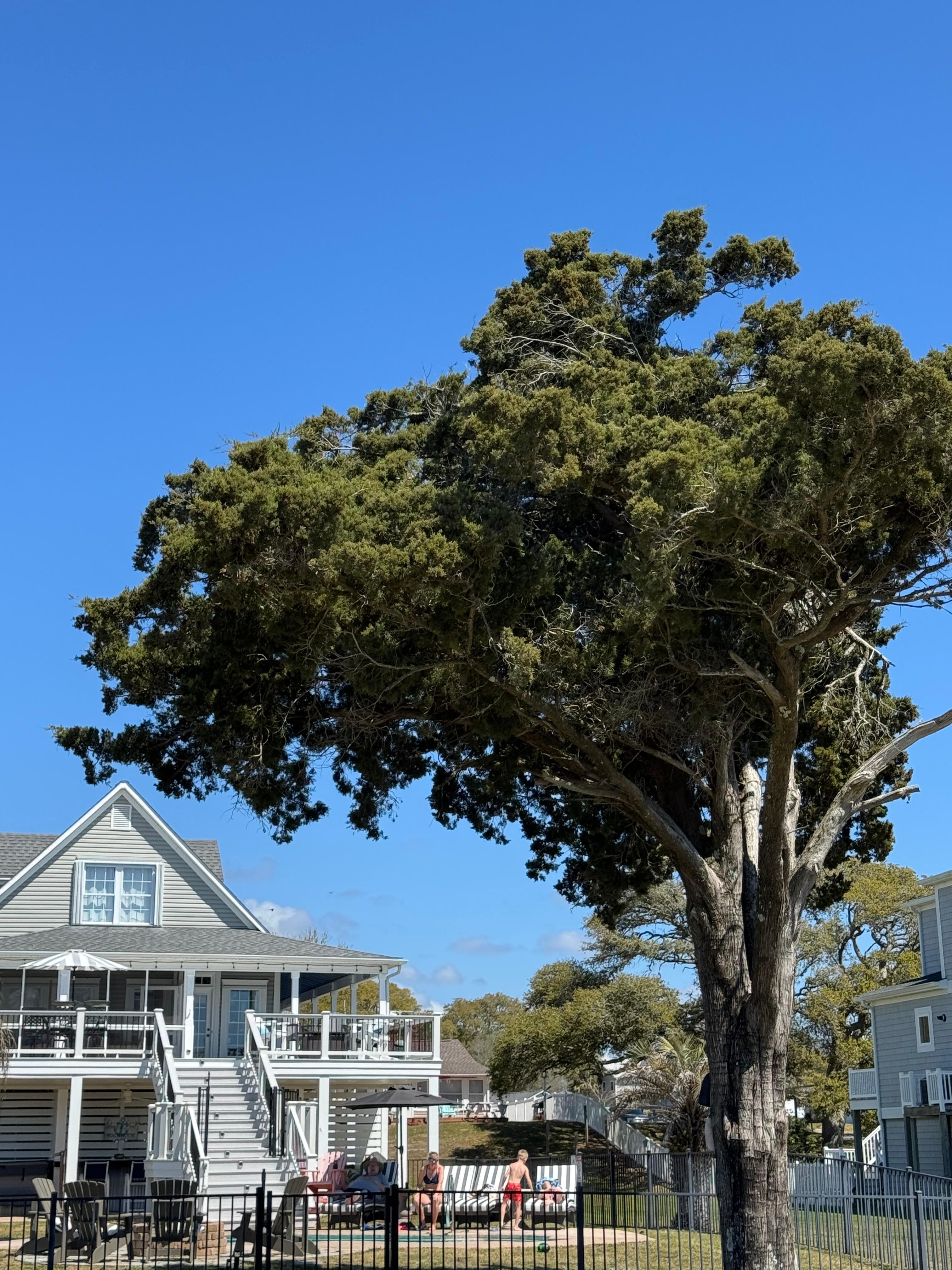 View from dock towards house. 
