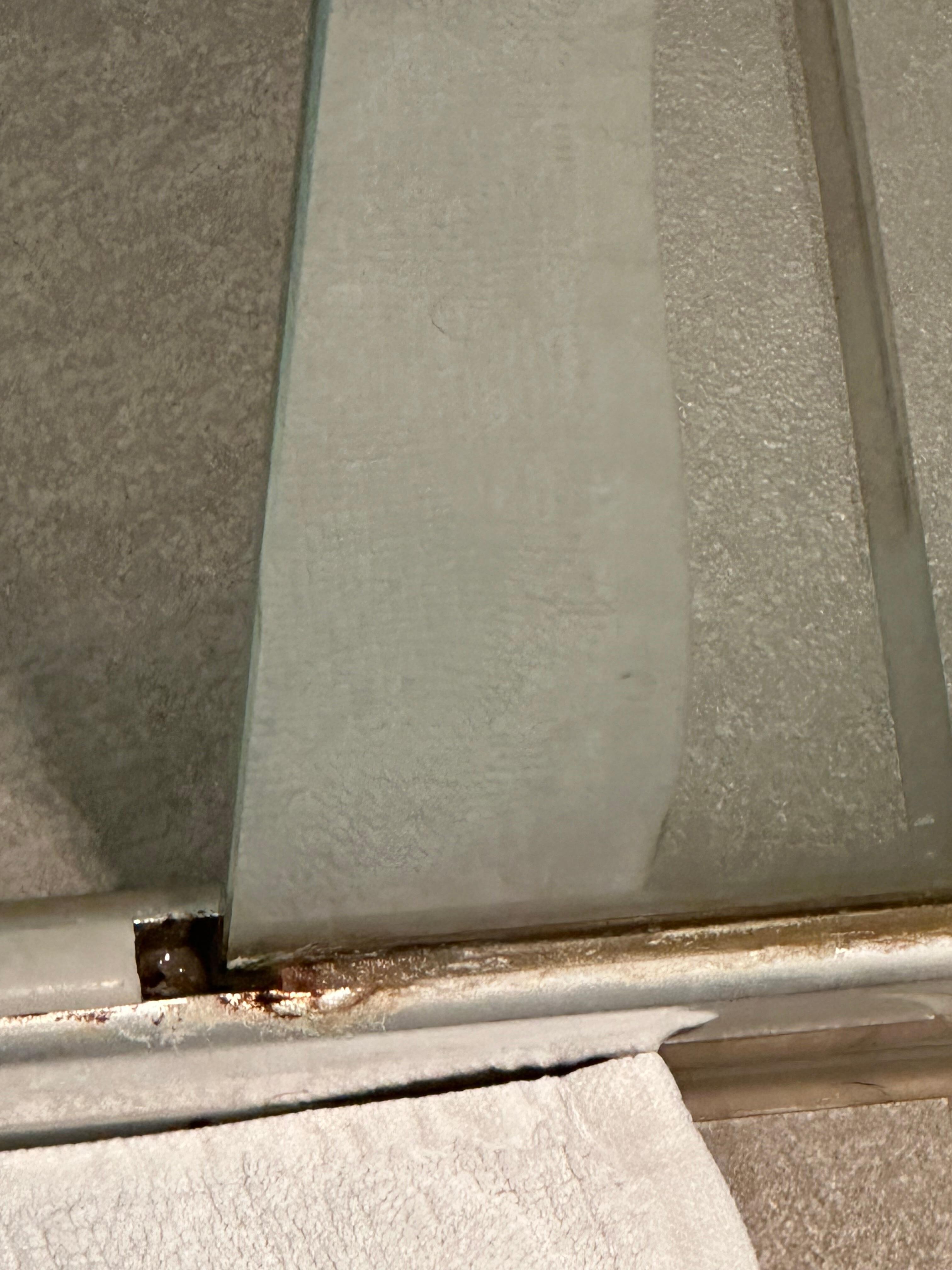 Dirty/scaly shower