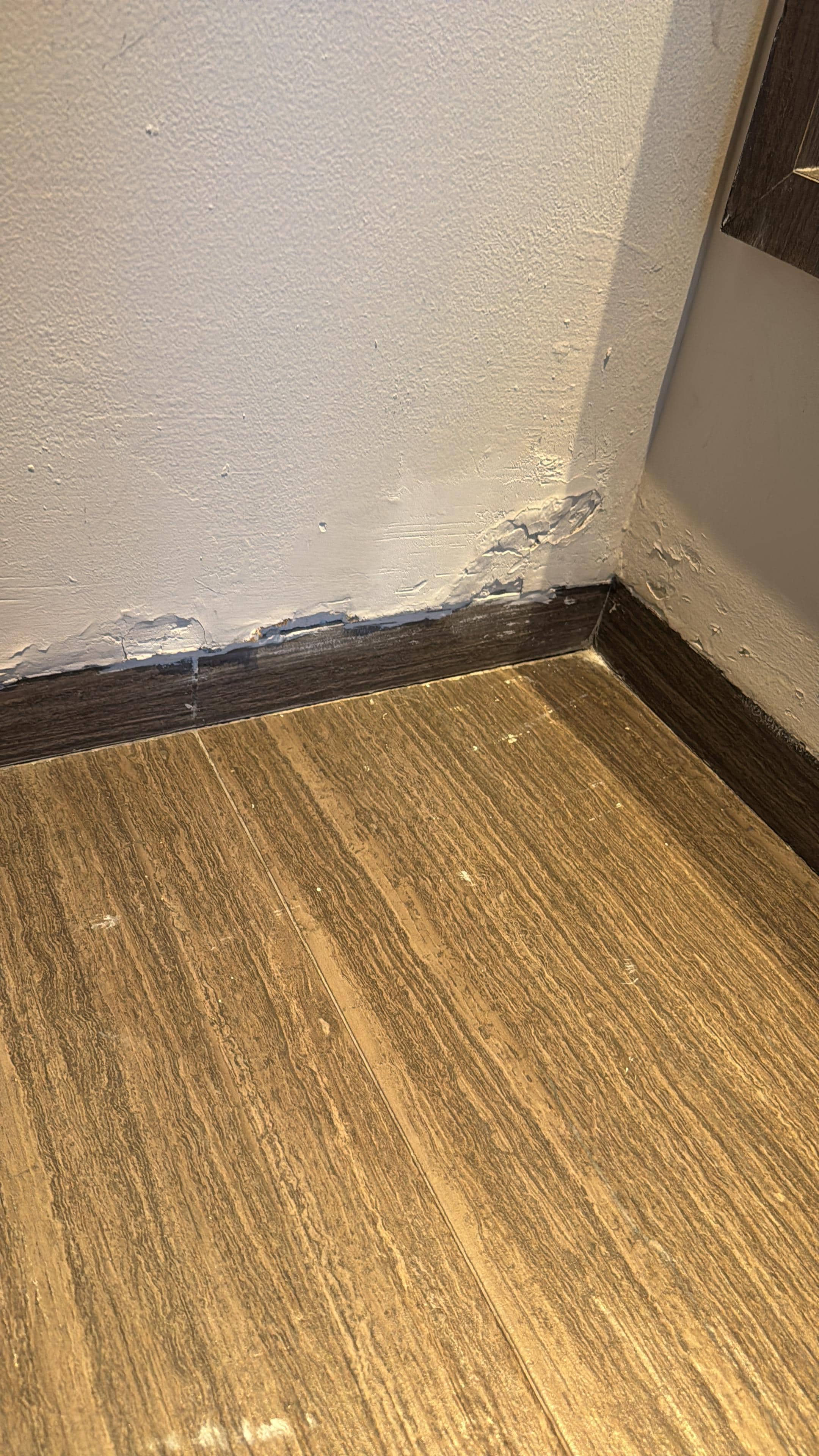 Water leaks and paint chipping off the walls . 